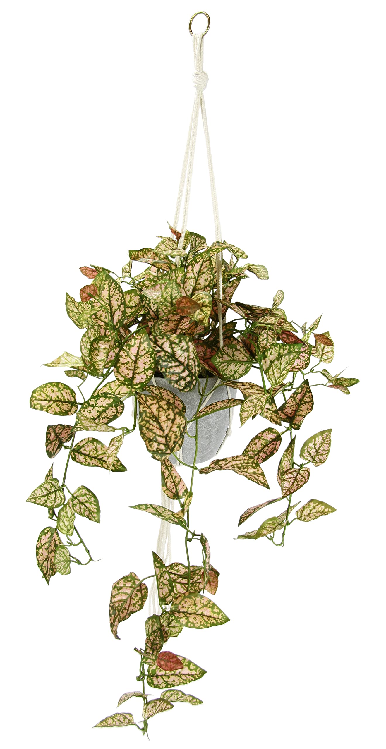 Plante artificielle Fittonia en pot avec suspension de lierre