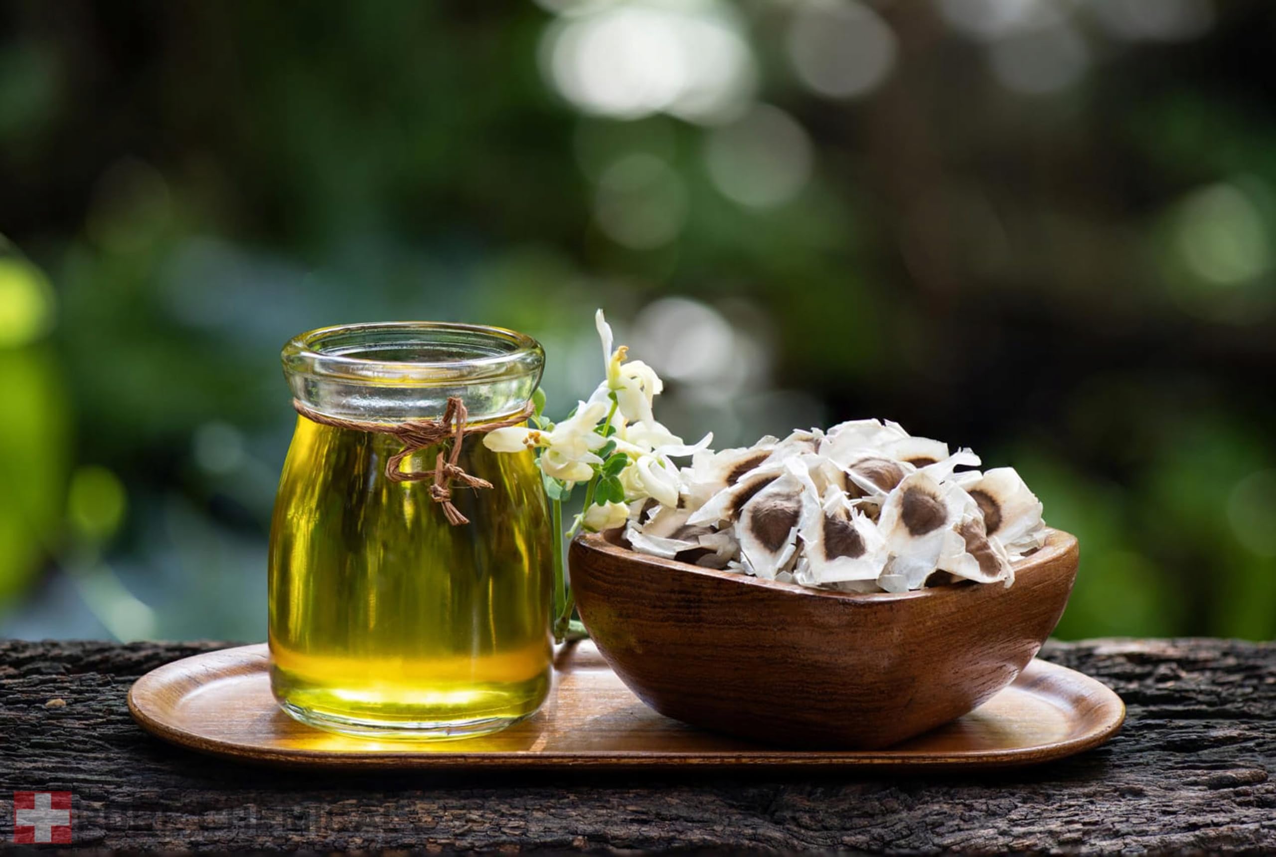 CHOSA Olio di Moringa 1L con Dispenser, Spremuto a Freddo, Non Raffinato, per Corpo Viso Capelli e Cosmetici Fai da Te