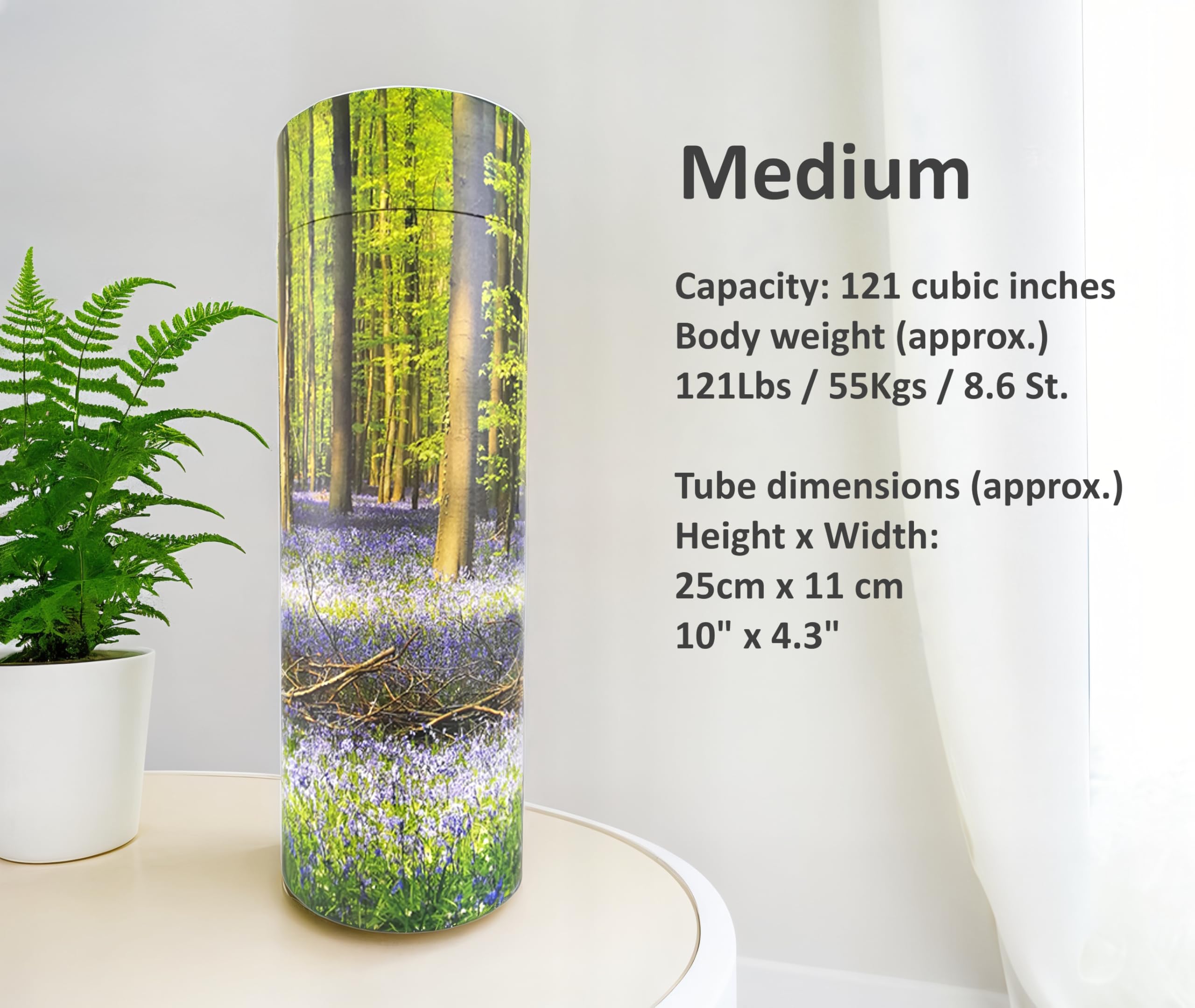 Urne funéraire en carton biodégradable Tubes de dispersion de bois de jacinthe pour cendres adultes (moyen)