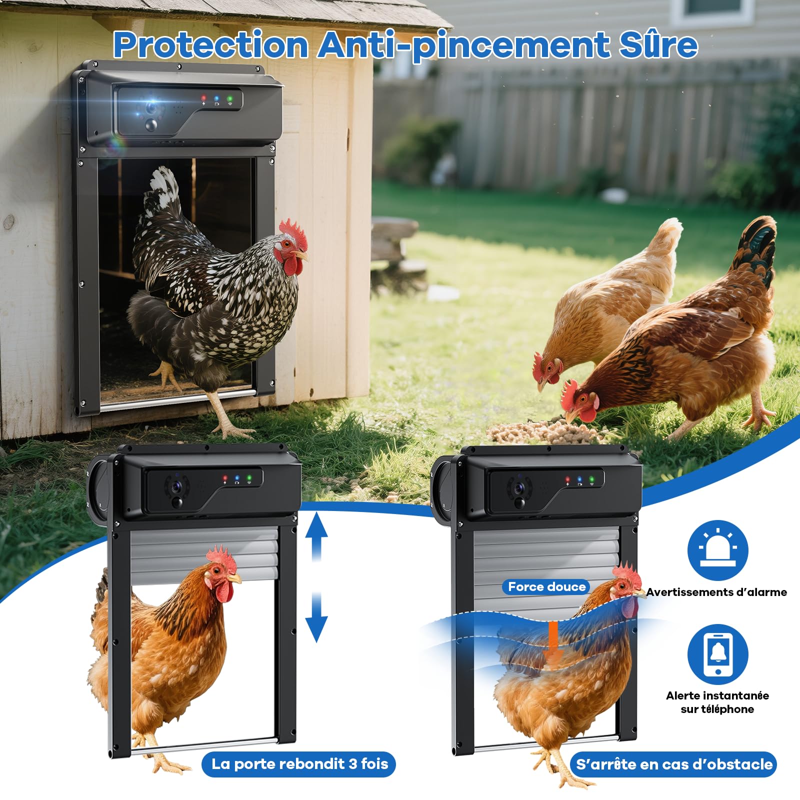 Porte Poulailler Automatique avec Caméra WiFi et Application, Porte à Enroulement Gain de Place pour Poulailler, Recharge Solaire, Contrôle à Distance, Minuterie, Anti-pincement