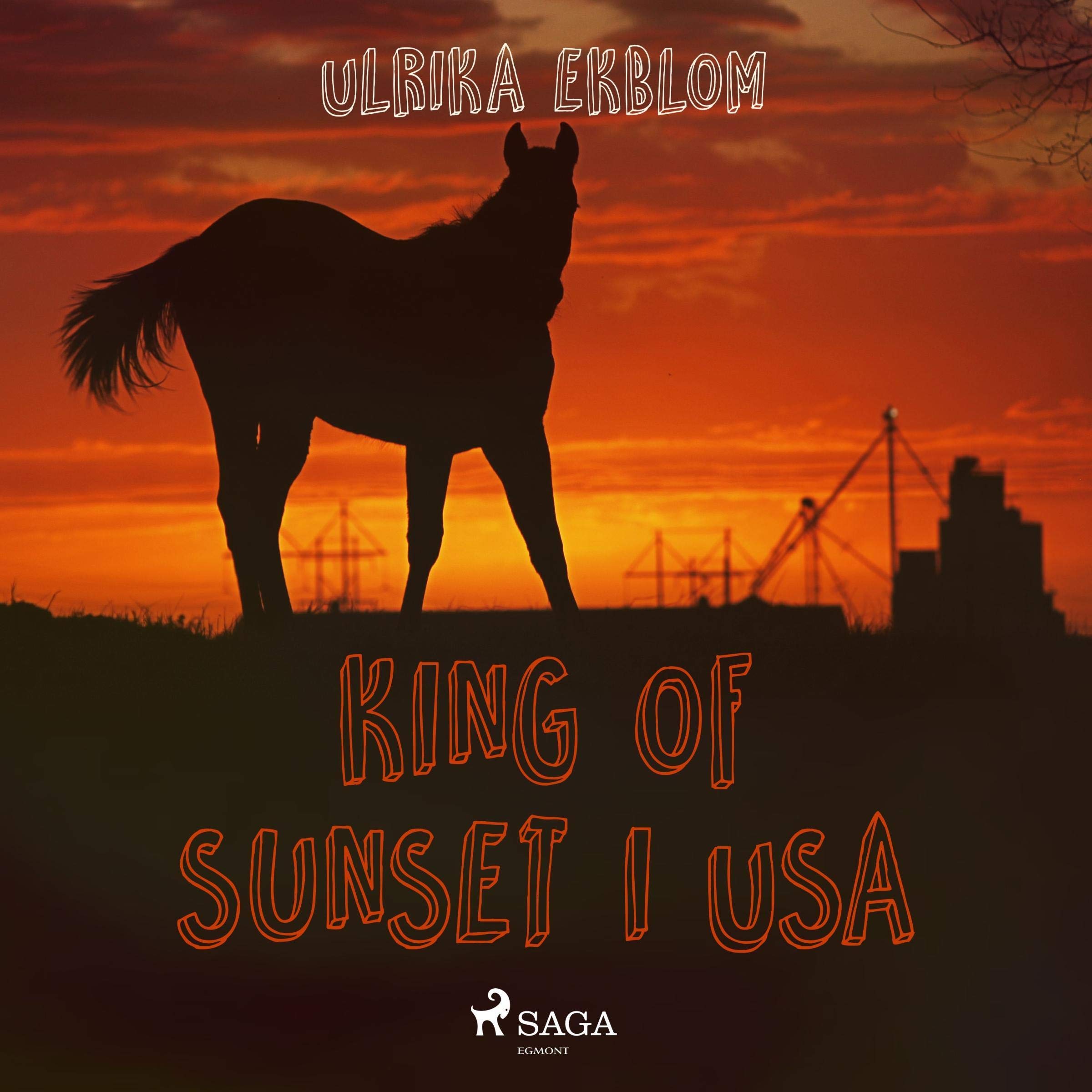 Cover art for King of Sunset i USA