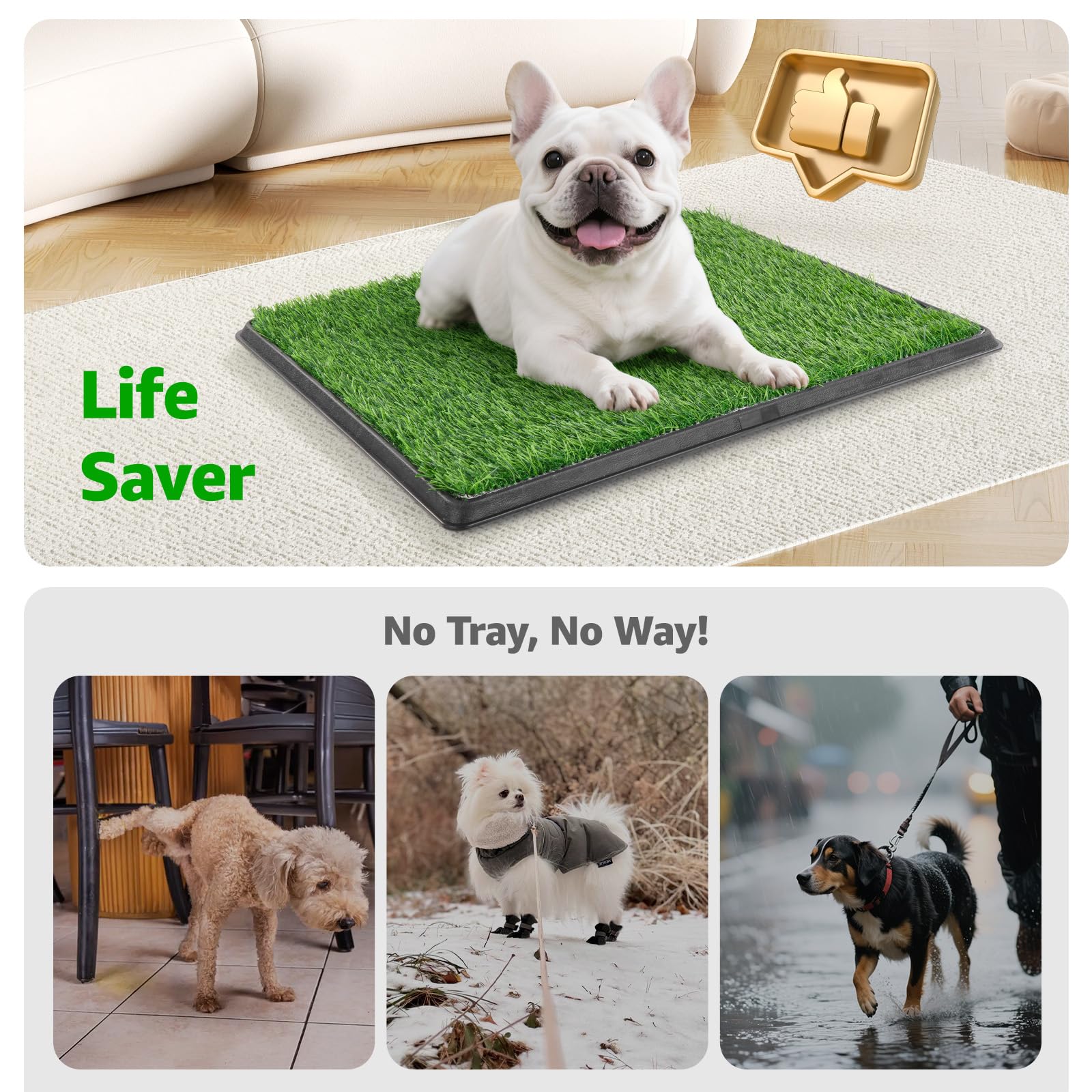 Potty Pads How To Potty Train A Puppy To Pee Outside Potty Pads