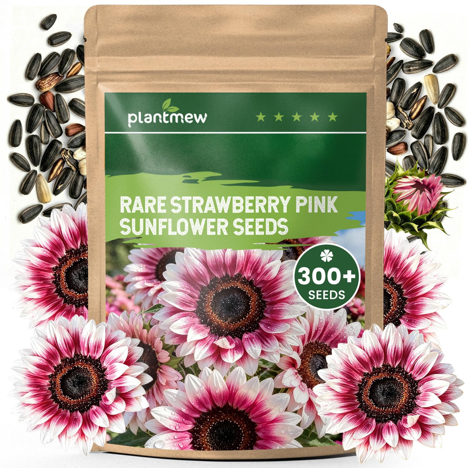 300+ Strawberry Pink Sunflower Seeds by PLANTMEW