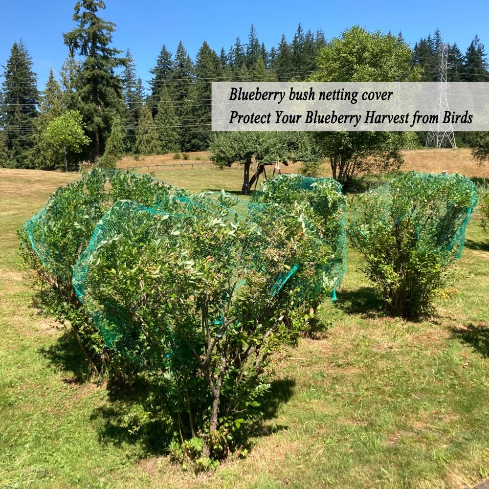 Vocray Garden Netting 2x30M, Bird Netting for Garden Plants 1 Cm Fine Mesh Netting Veg Protection - Image 4