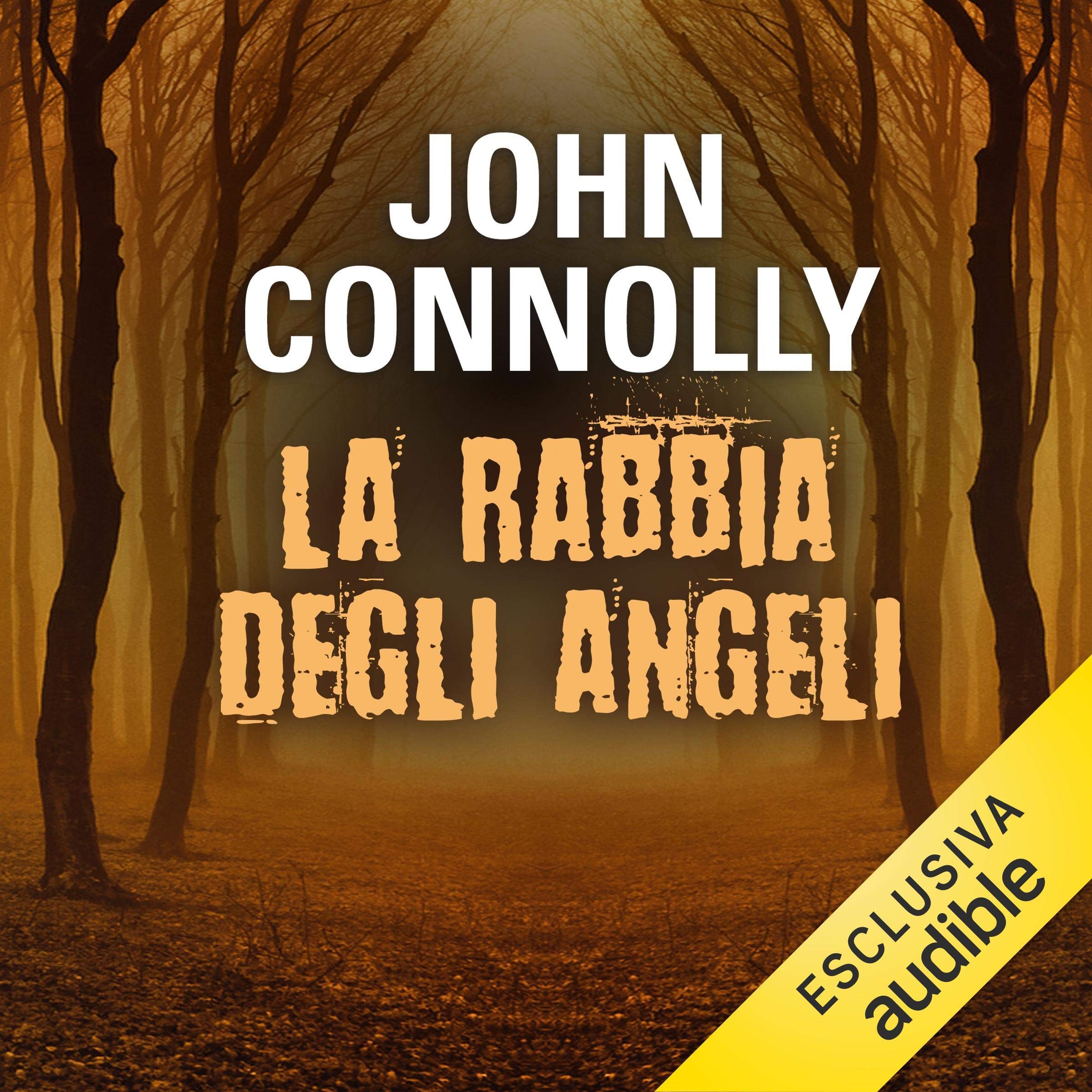 La rabbia degli angeli: Un'indagine di Charlie Parker
