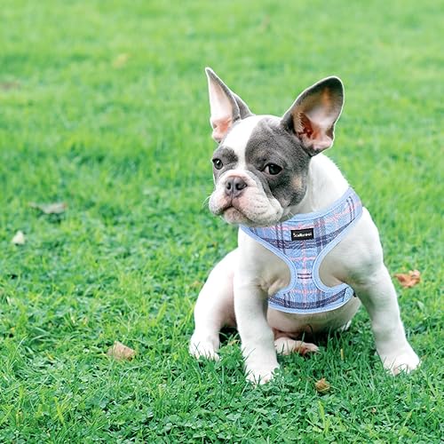 Miniatura 6 de SCENEREAL Arnés para perro con correa para perros pequeños y medianos, arnés y correa de malla suave para mascotas, chaleco ajustable sin tirones