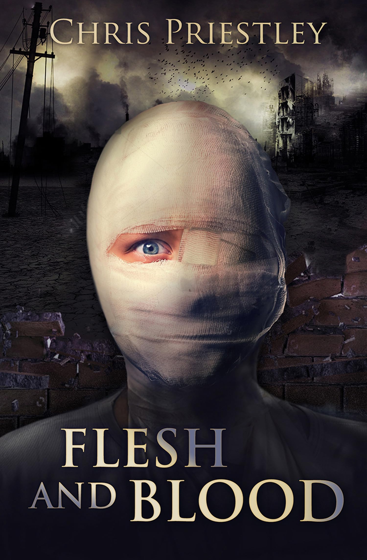 Flesh and Blood by Chris Priestley PAPERBACK 9781781126882