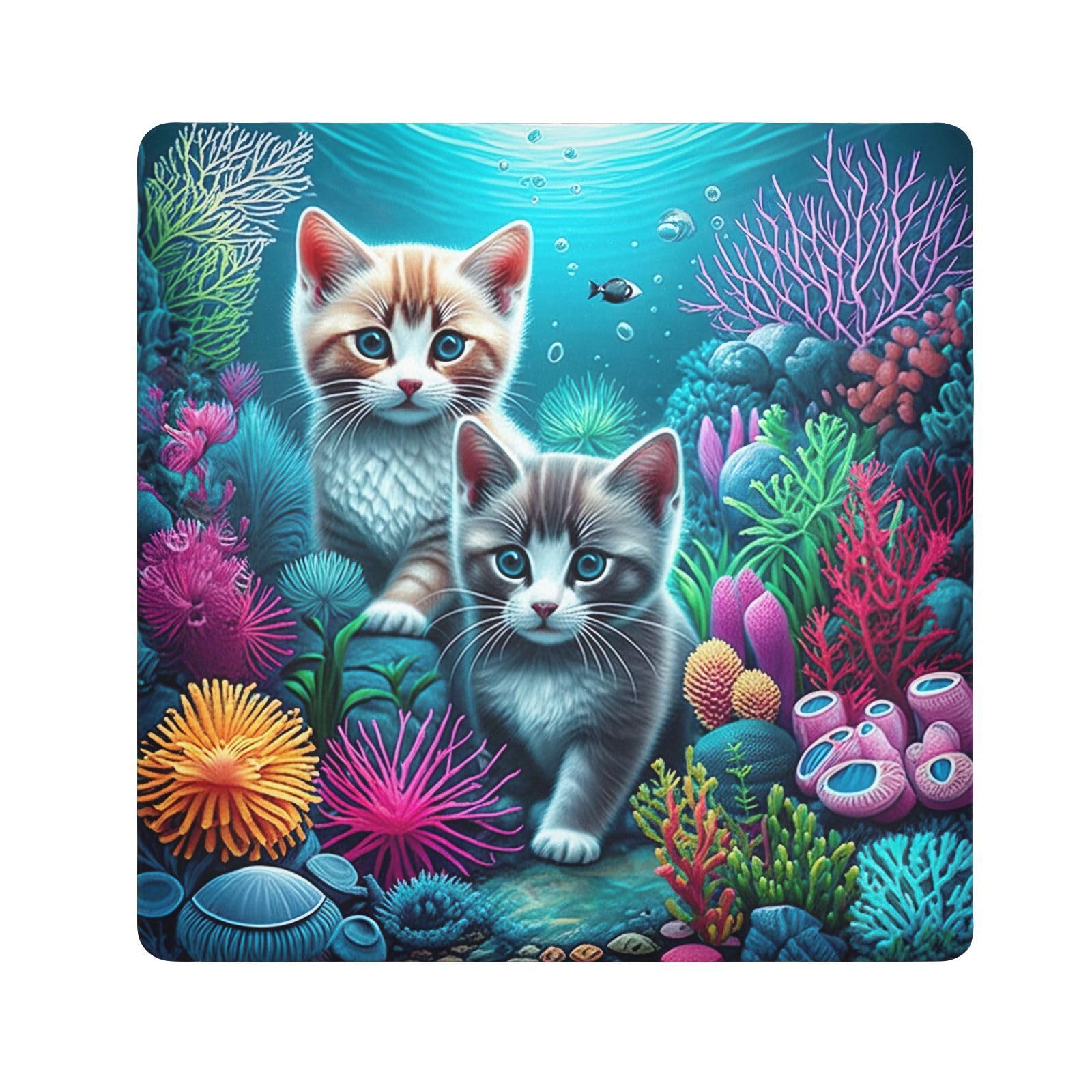 ODAWA Kittens Colorful Coral 21.7