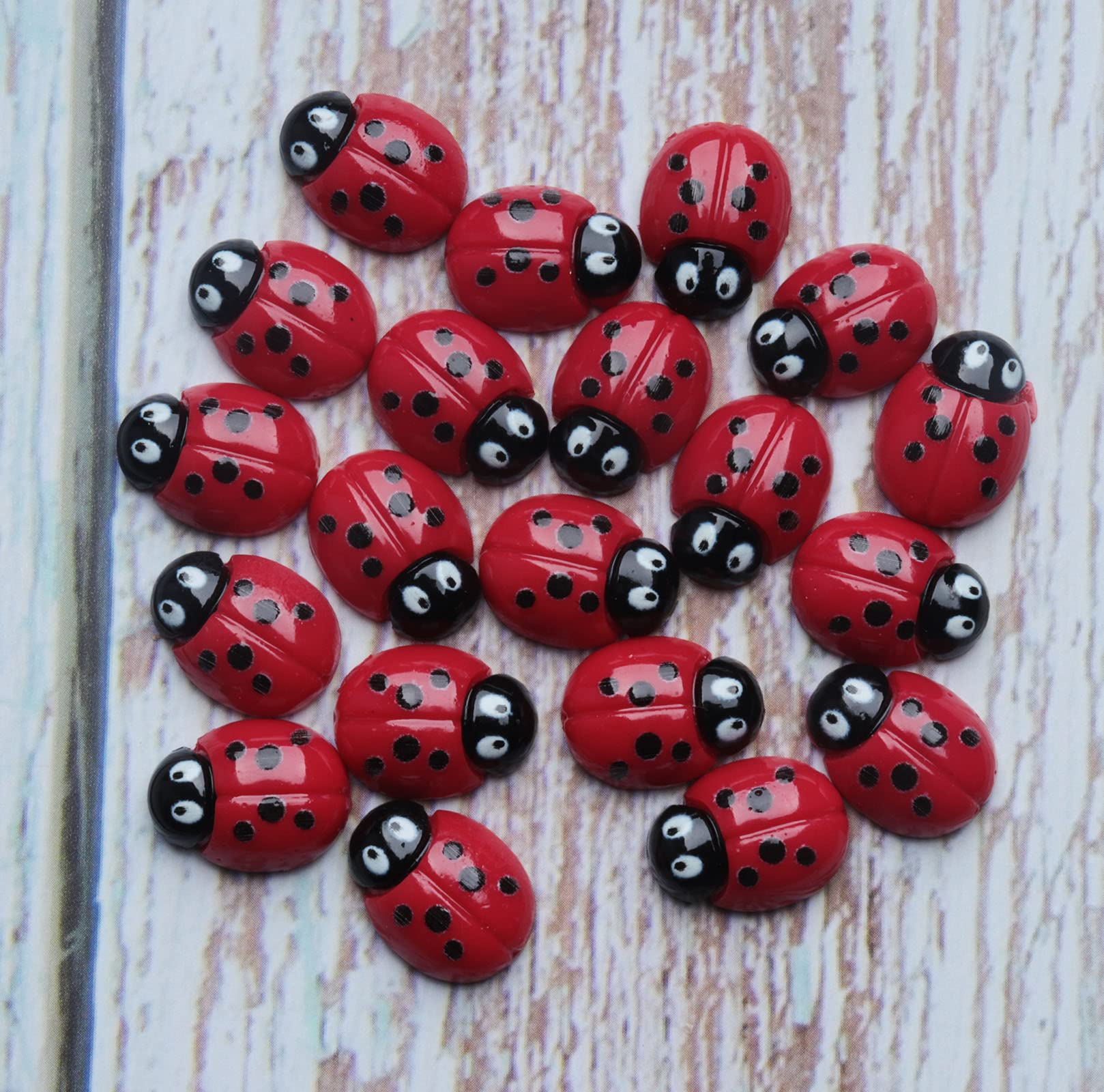 エ*カ様 てんとう虫と花のケース 幸せの花てんとう・ペア／てんとう虫の花フラワーギフトはお花屋さん