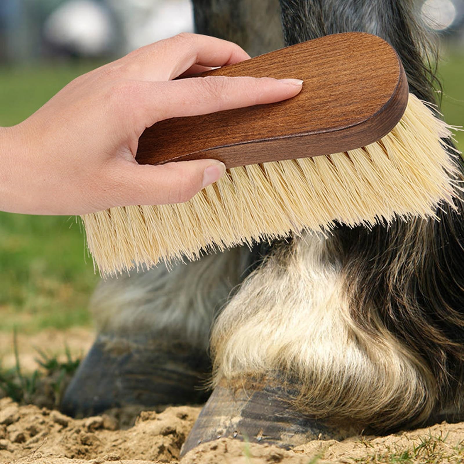 Kit de aseo de caballos, 5 piezas con cepillo para pezuñas, peine de cola, raspador de pelo, cepillo facial para cuidado equino