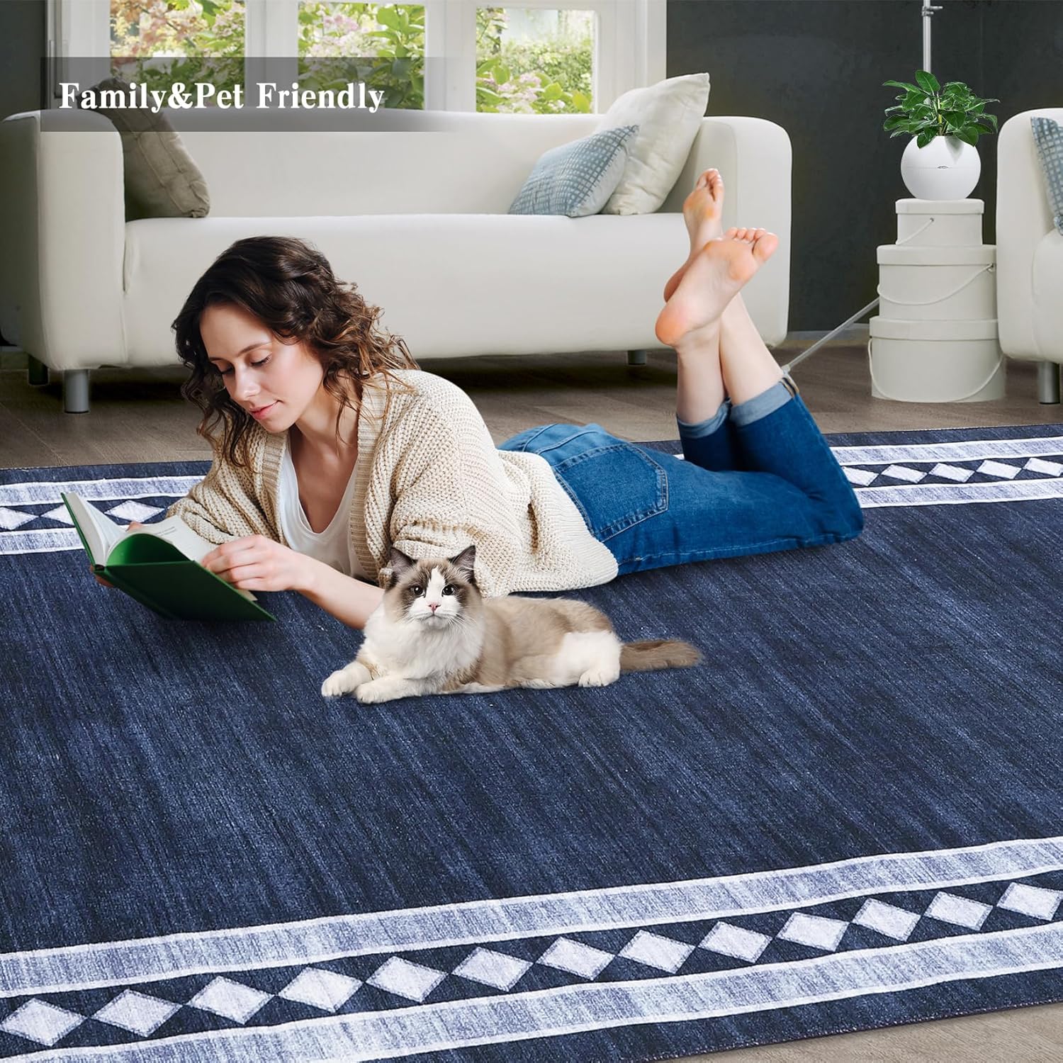 Washable Area Rugs for Living Room Modern Solid Bordered Soft Geometric Carpet - Picture 56 of 108