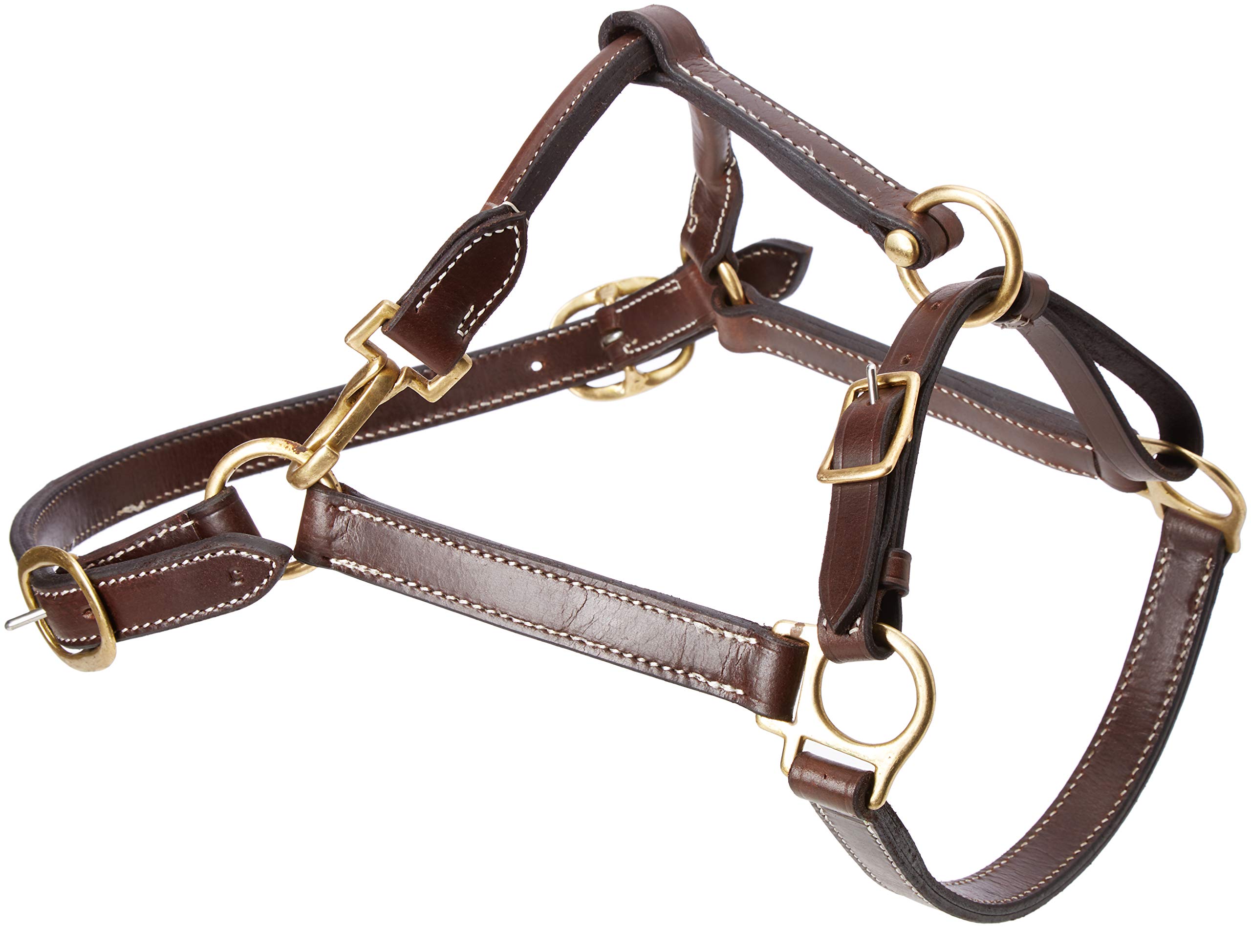 Cwell Equine New OILED LEATHER HEADCOLLAR Newmarket Brown Choice of sizes F/C/P (COB)