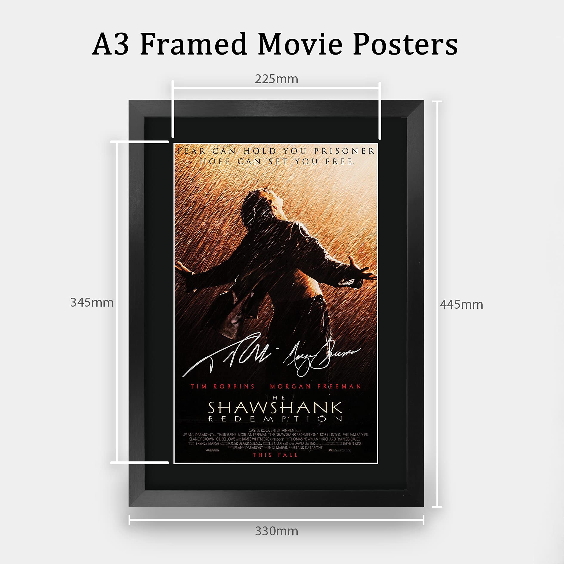 HWC Trading The Shawshank Redemption A3 Gerahmte Signiert Gedruckt Autogramme Bild Druck-Fotoanzeige Geschenk Für Tim Robbins Morgan Freeman Filmfans