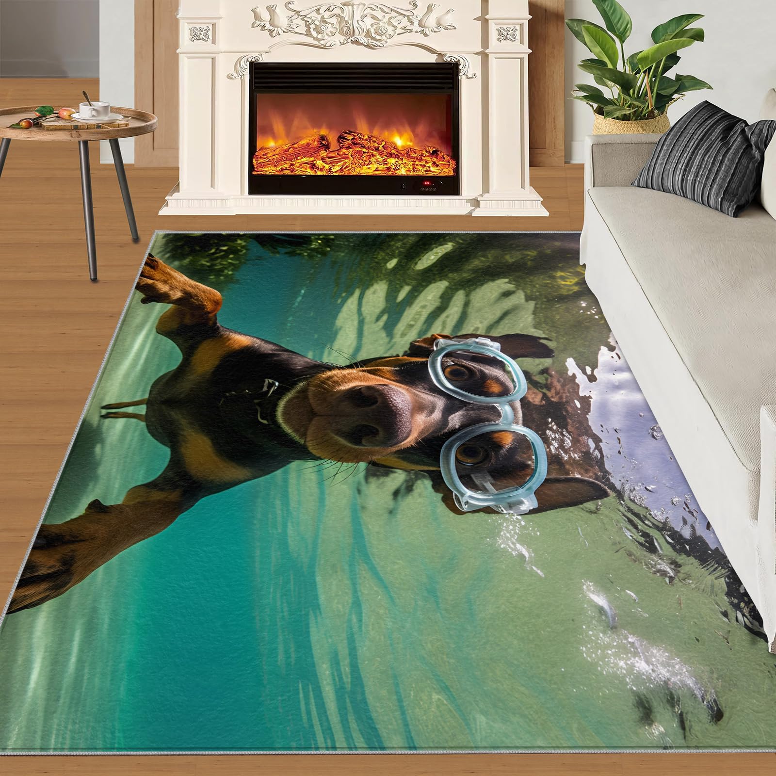 Amazon.com: 5x7 Rug - Funny Doberman Area Rugs for Living Room