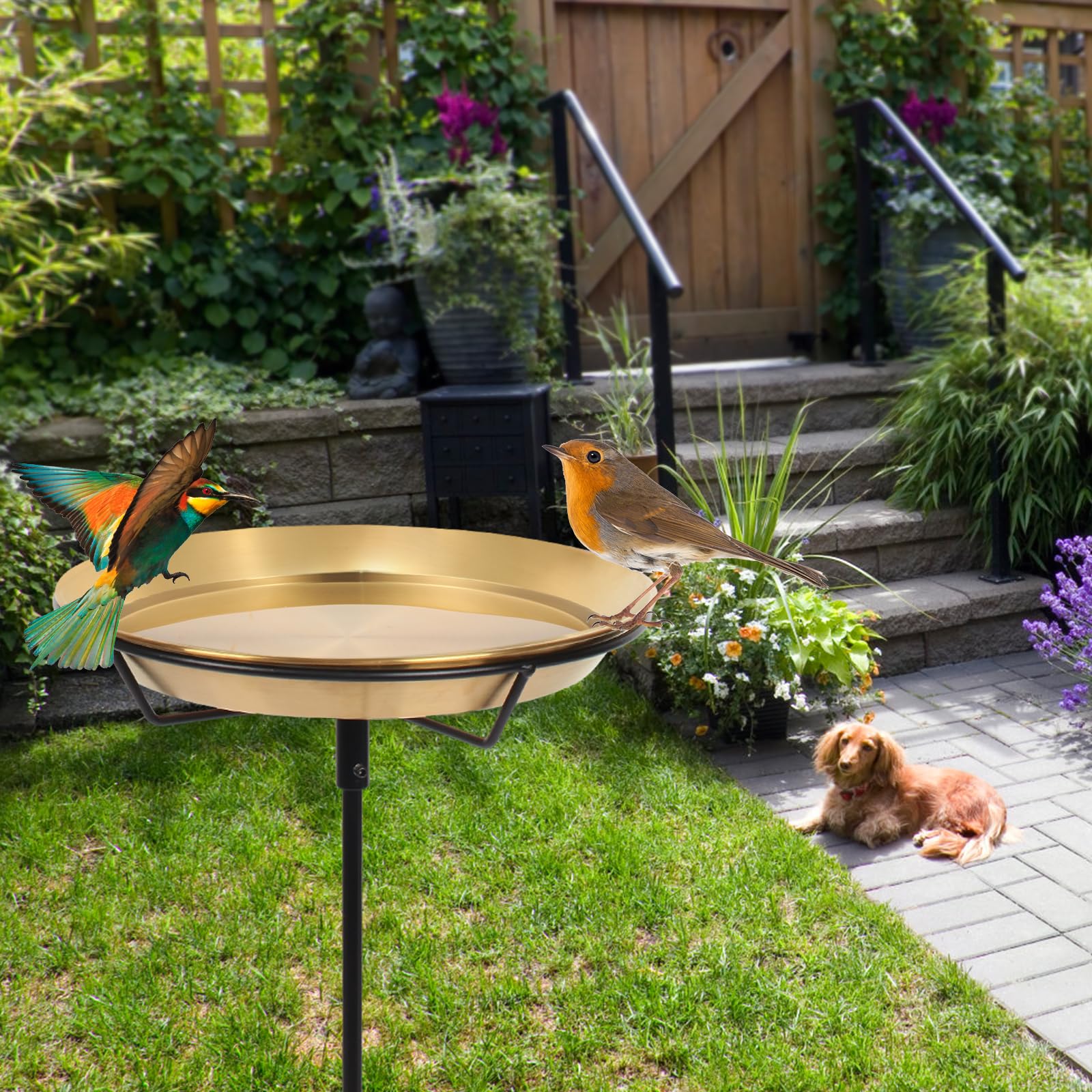 HRAYLTOP Stojąca wanna dla ptaków miska na karmnik dla ptaków z żelaznym stojakiem 74 cm – zdejmowana dekoracja zewnętrzna do ogrodu, na podwórko, patio i taras, idealna do przyciągania ptaków
