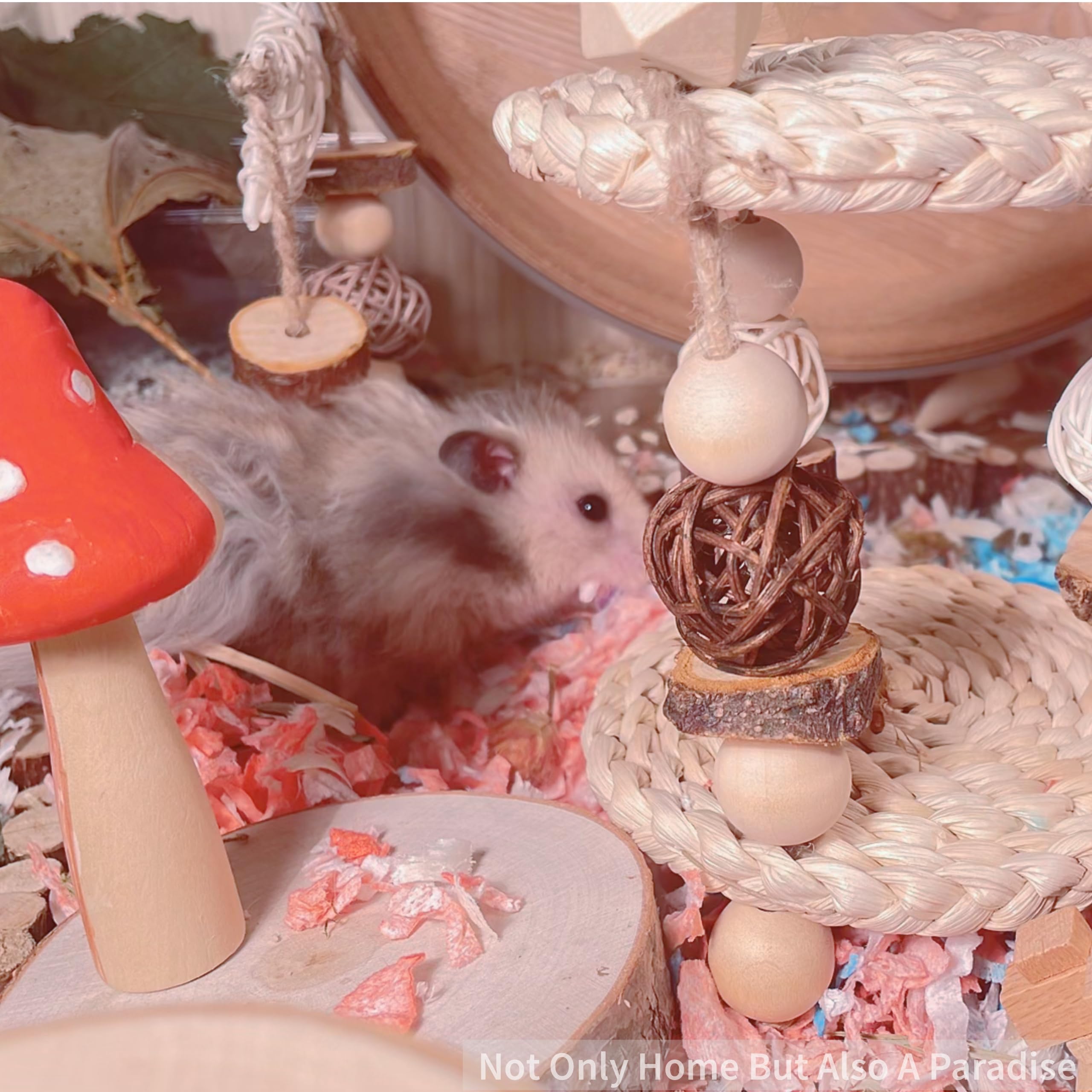 What Glue Do You Use for a DIY Gerbil Toys: Safe & Strong Choices