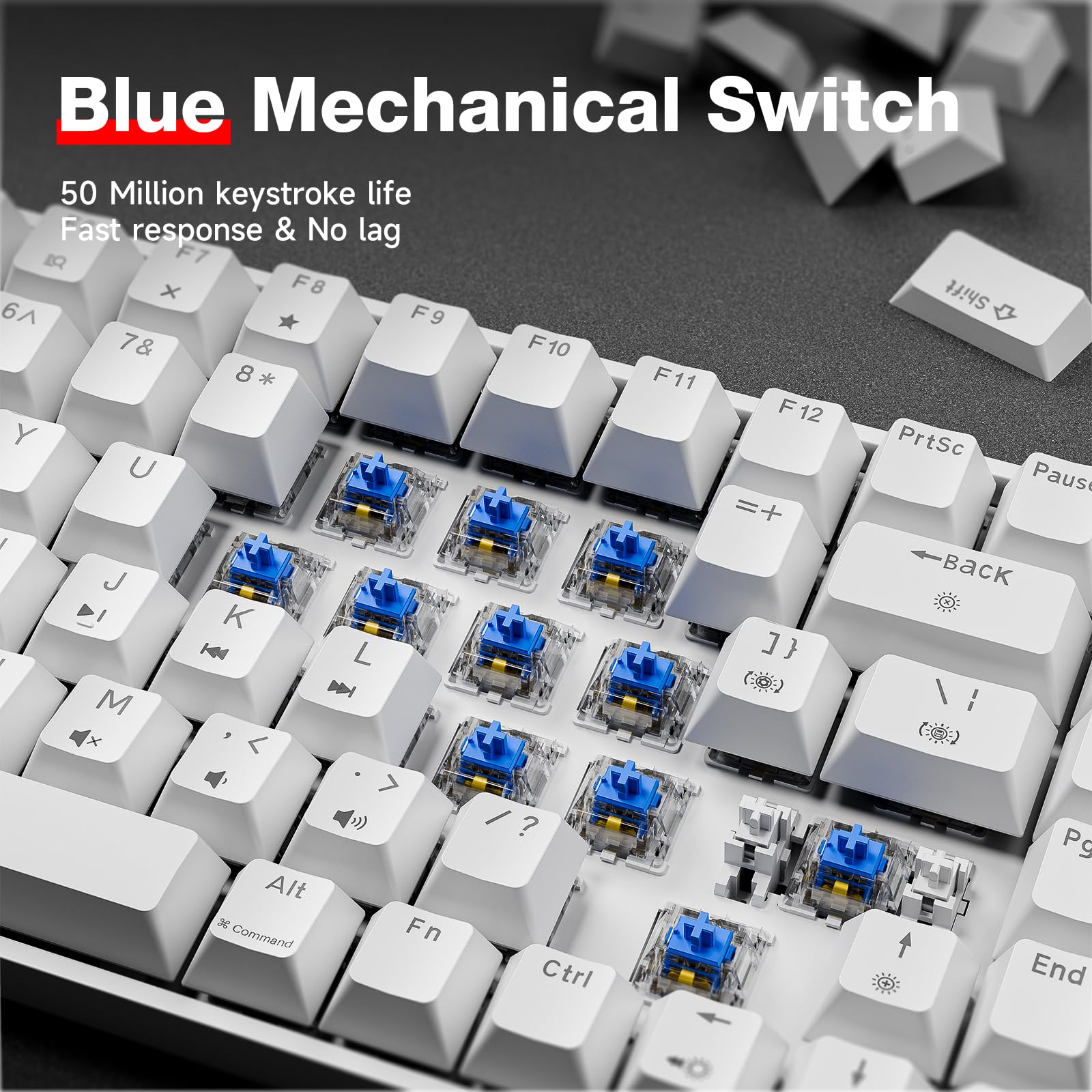 TMKB T84SE Tastiera Meccanica, Layout QWERTY US, Tastiera Gaming a 84 Tasti con LED Blu, N-Key Rollover Blue Switch per PC Windows/Mac OS, Bianco