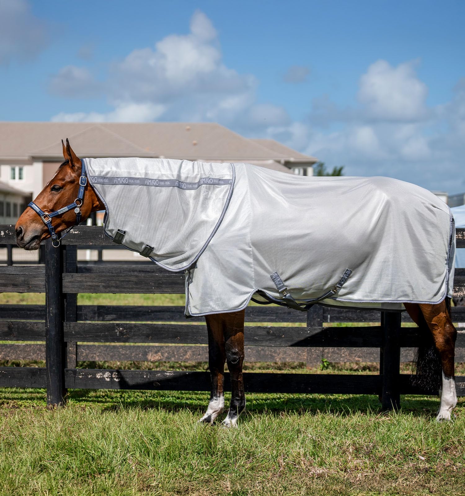 Horseware Fliegendecke Amigo Bug Rug Plus Silver/Titanium Grey & Silver/ 155 cm (6'9")