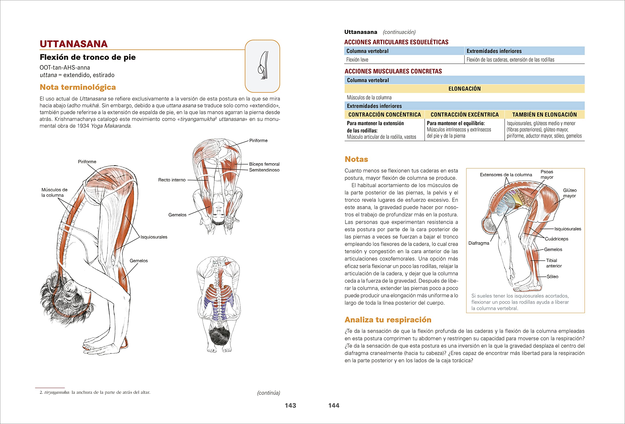 Anatomía del yoga. Tercera edición ampliada y actualizada: Guía ilustrada de las posturas, los movimientos y las técnicas respiratorias