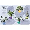 Product Photo 8