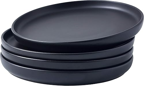 Bruntmor - Juego de 4 platos redondos de cerámica en color mate ideales para platos de comida y para restaurantes