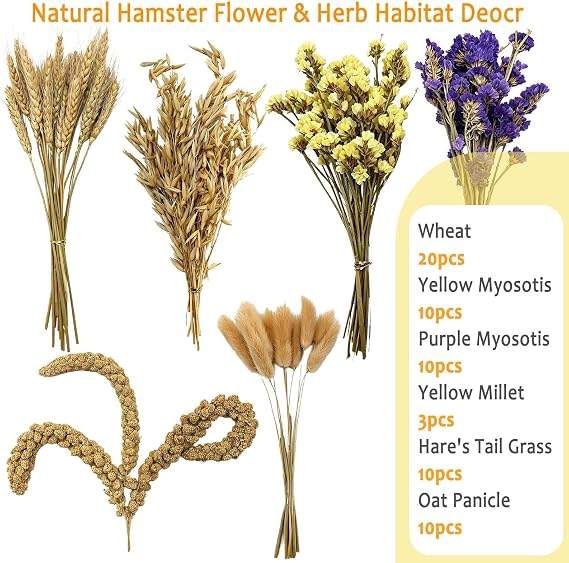 Natural Hamster Flower & Herb Habitat Deocr, Edible Hamster Sprays Flowers Bedding Mate, Hamsters Cage Enrichment Decoration Accessories for Gerbil Dwarf Syrian Hamsters Guinea Pig Mice