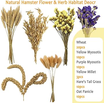Natural Hamster Flower & Herb Habitat Deocr, Edible Hamster Sprays Flowers Bedding Mate, Hamsters Cage Enrichment Decoration Accessories for Gerbil Dwarf Syrian Hamsters Guinea Pig Mice