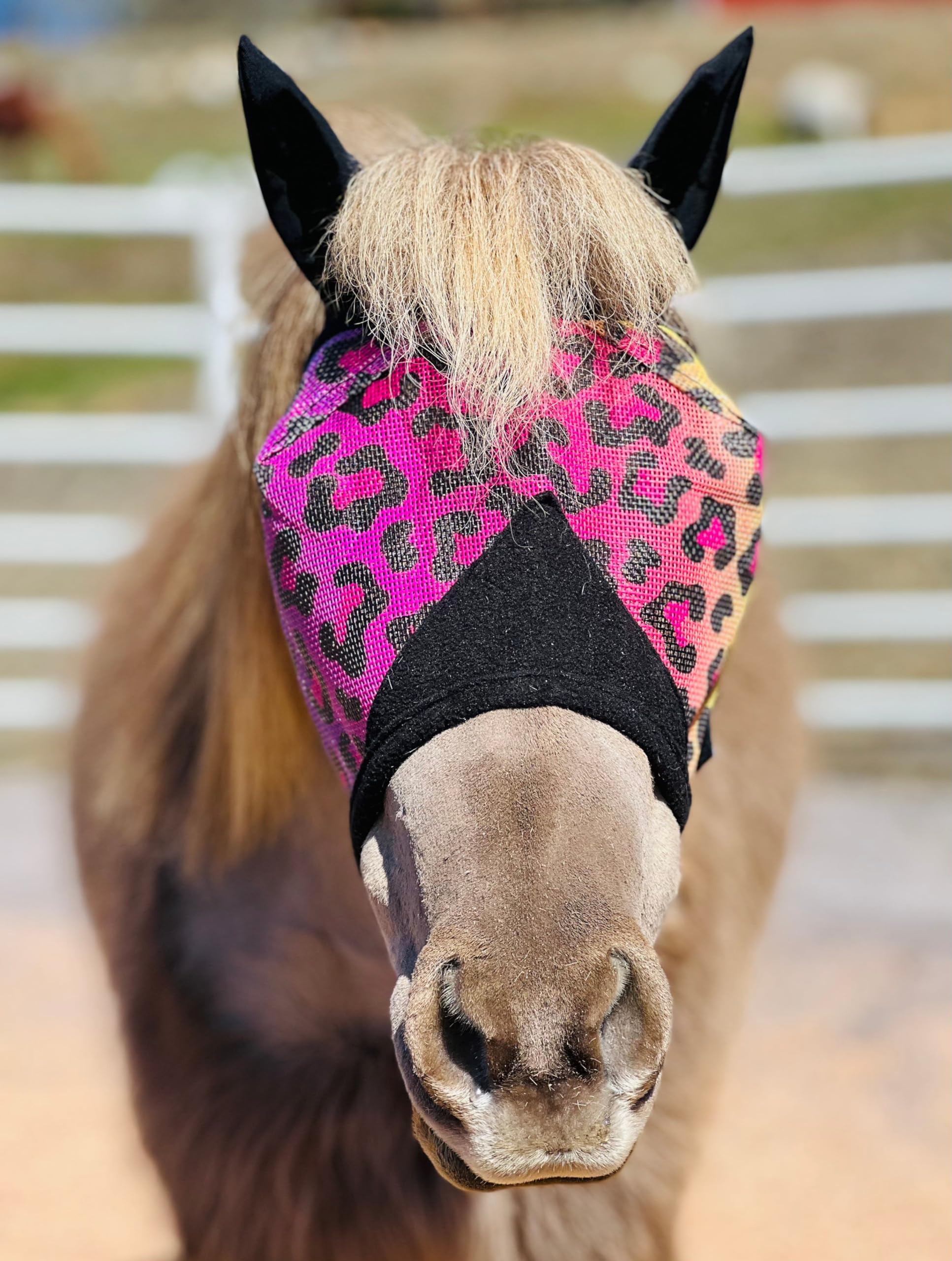 Star Point Horsemanship Miniature Horse-Pony No Ear Fly Masks100% Full UV Protection Durable Mesh Highly Comfortable (- Rainbow Cheetah,Small 28-32