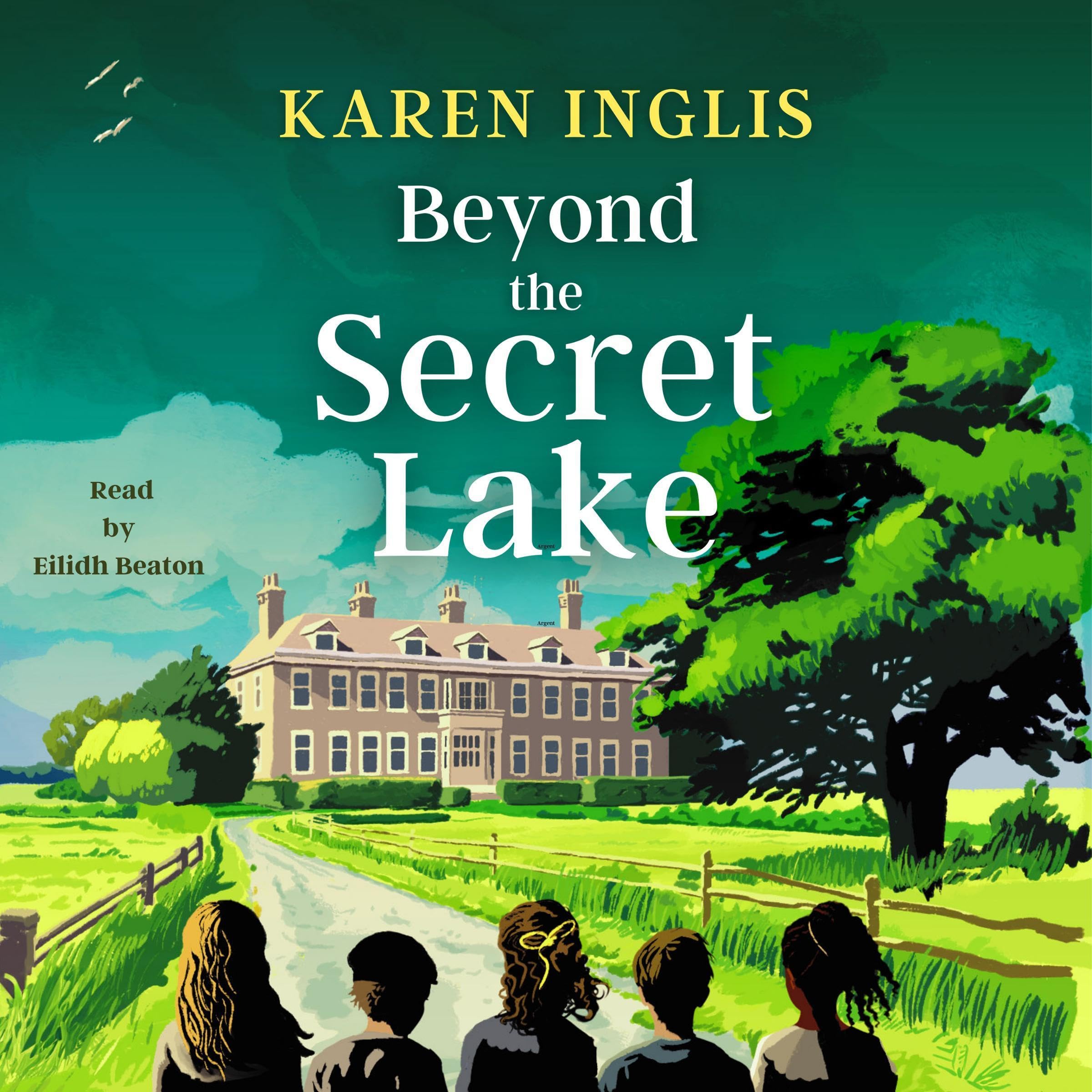 Cover art for Beyond the Secret Lake