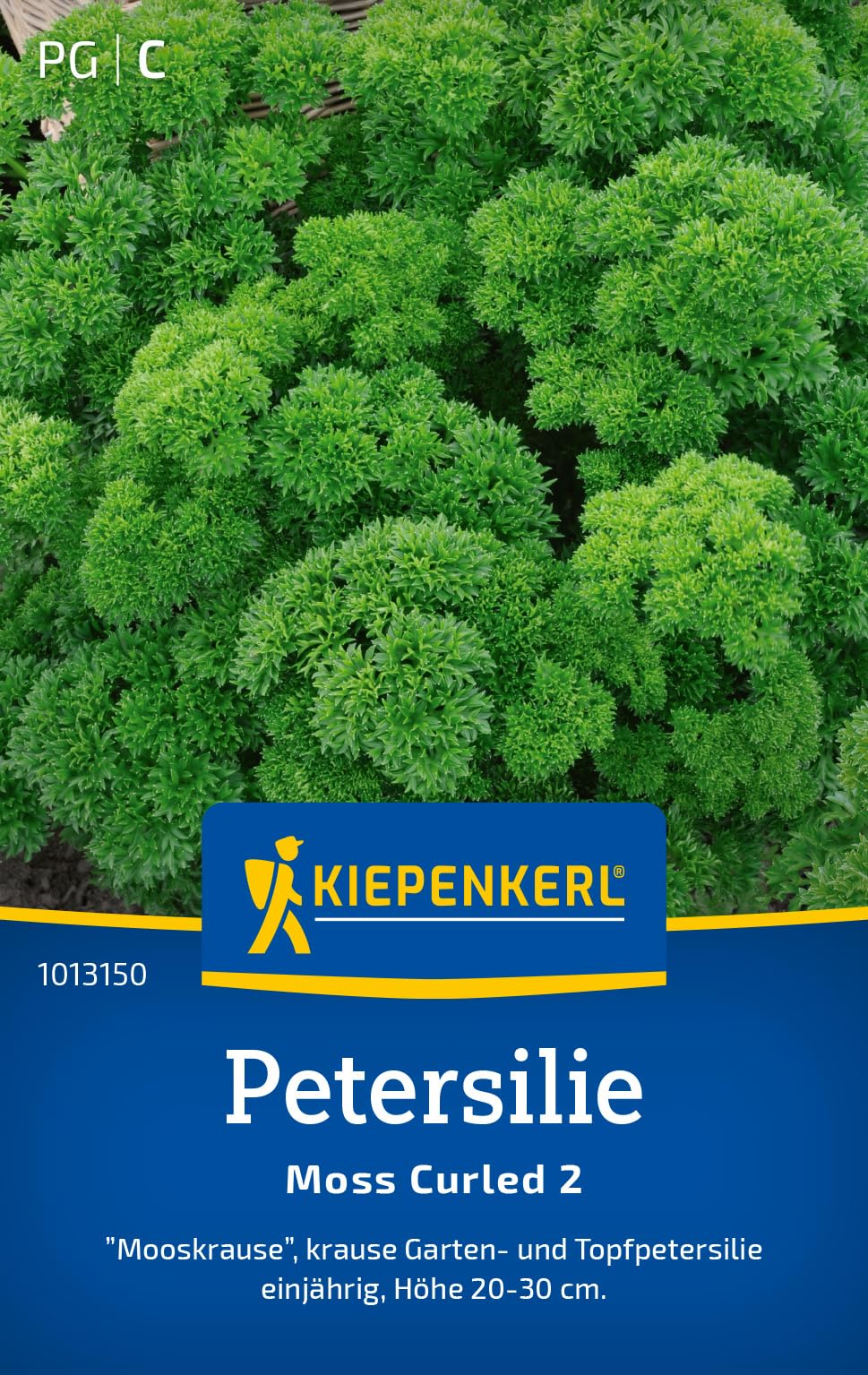 Kiepenkerl Petersiliensamen 'Moss Curled 2' 1013150 - Einjährig mit einer Wuchshöhe von 20 bis cm und einem Inhalt für 500 Pflanzen - Kräutersamen, Saatgut