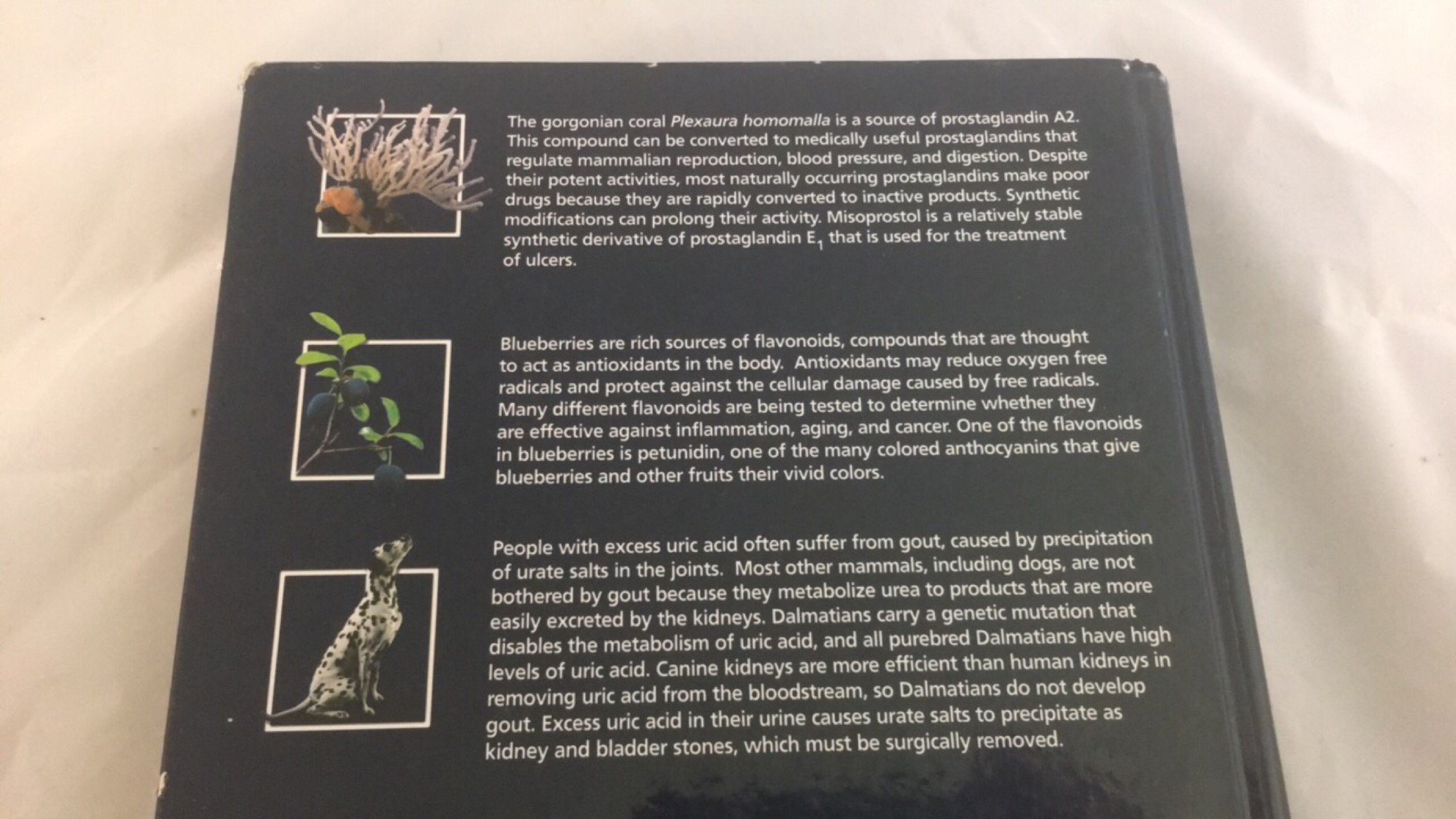 Organic Chemistry - Image 7