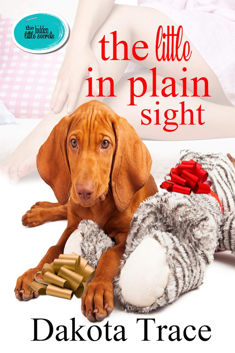 The Little In Plain Sight (The Hidden Little Secrets Book 2) Kindle The Little In Plain Sight (The Hidden Little Secrets Book 2) Kindle