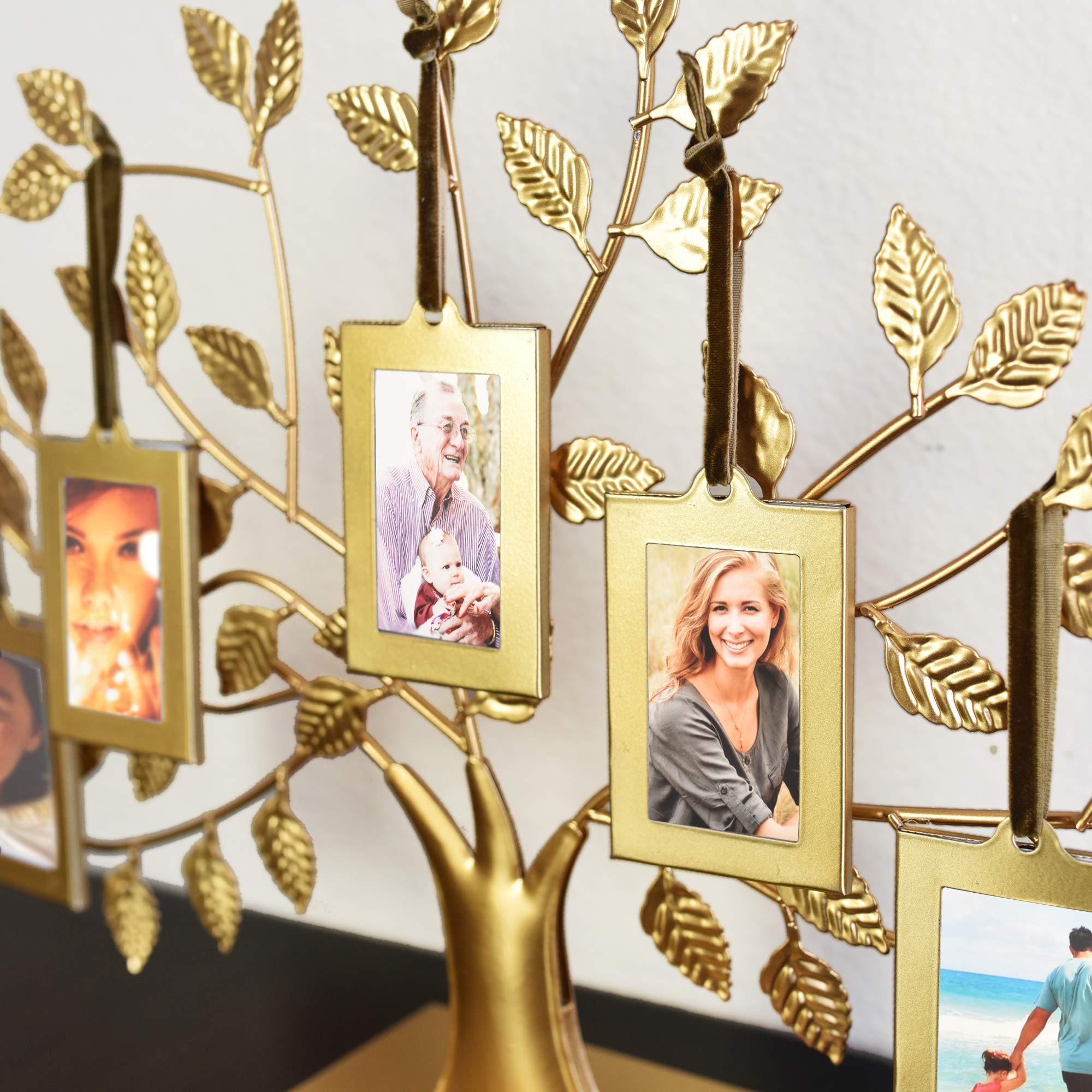 Thetford Design Family Tree Gold Photo Frame with 5 Hanging Picture
