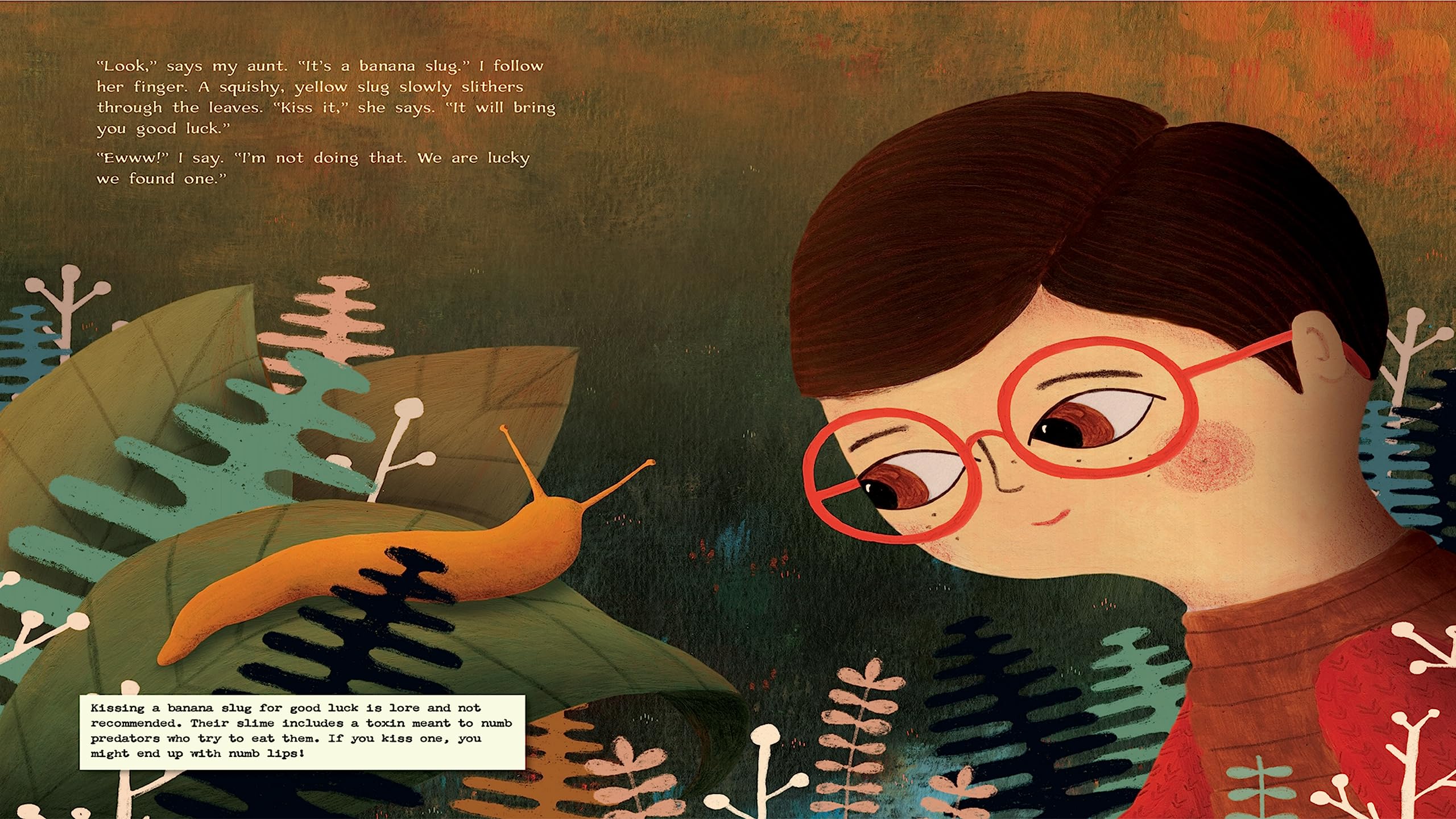 A Walk Through the Redwoods | Juvenile, Science & Nature Children's Fiction Book | Reading Age 5-10 | Grade Level K-5 | Reycraft Books - Image 4