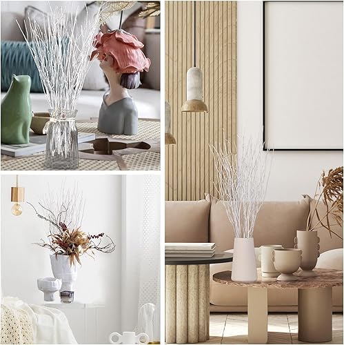 Miniatura 6 de 40 ramitas de abedul secas reales, ramas de abedul decorativas blancas de 17 pulgadas para jarrón, centro de mesa, decoración de boda, palos para