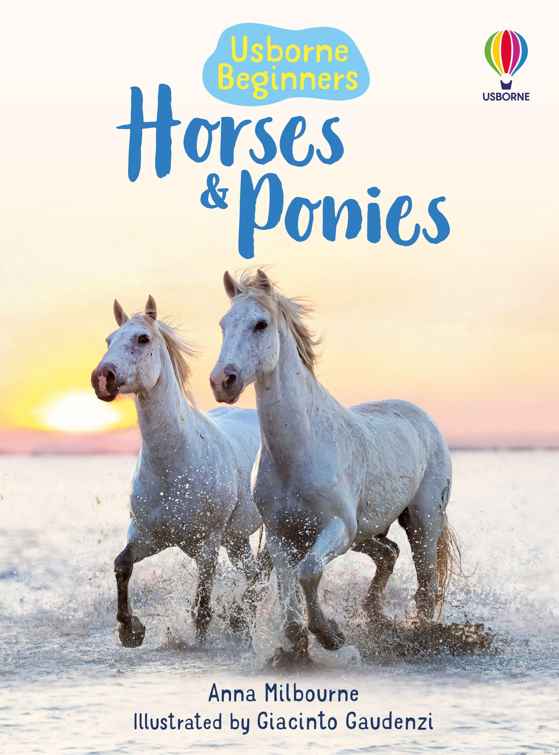 Horses and Ponies (Usborne Beginners) Hardcover – 26 January 2007