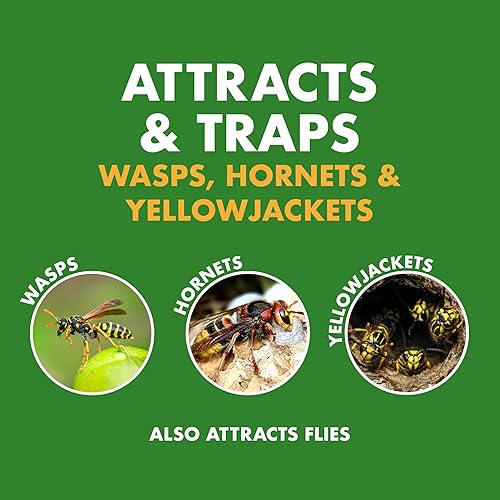 Miniatura 10 de Spectracide Wasp & Hornet 3, paquete de 12, asesino de insectos de 18.5 onzas