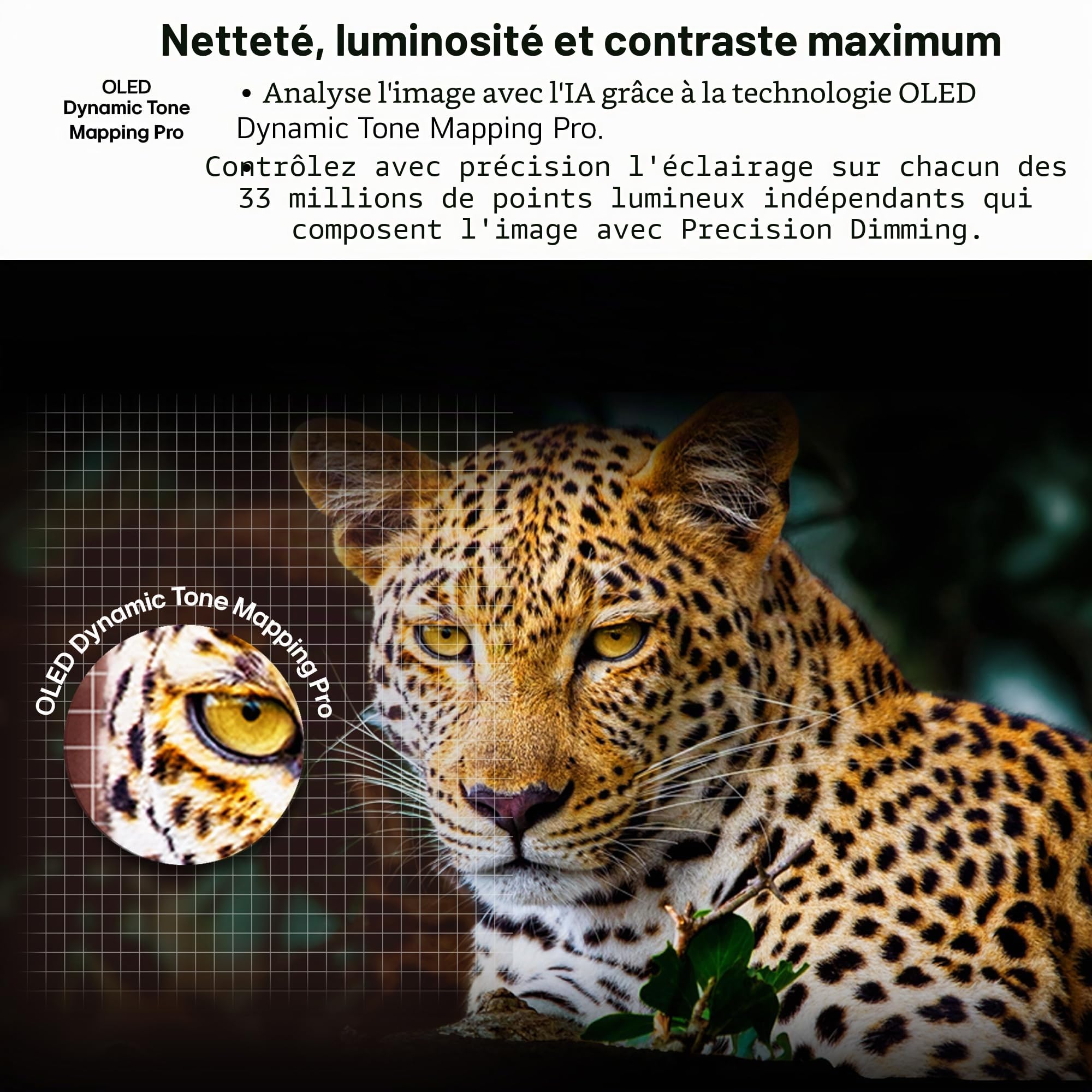 LG OLED83C5ELA Téléviseur, 83 ", 210 cm, 4K, OLED Evo AI (processeur AI α9 Gen8 4K, webOS 25, 120 Hz (VRR jusqu'à 144 Hz))