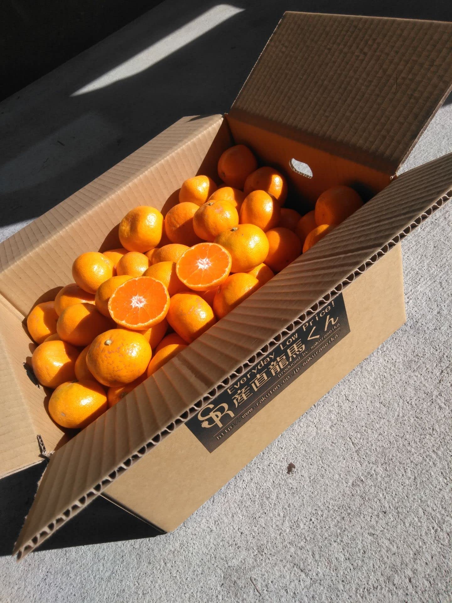 Amazon.co.jp: 山北みかん 小粒みかん2Sサイズ 10kg 家庭用 蜜柑