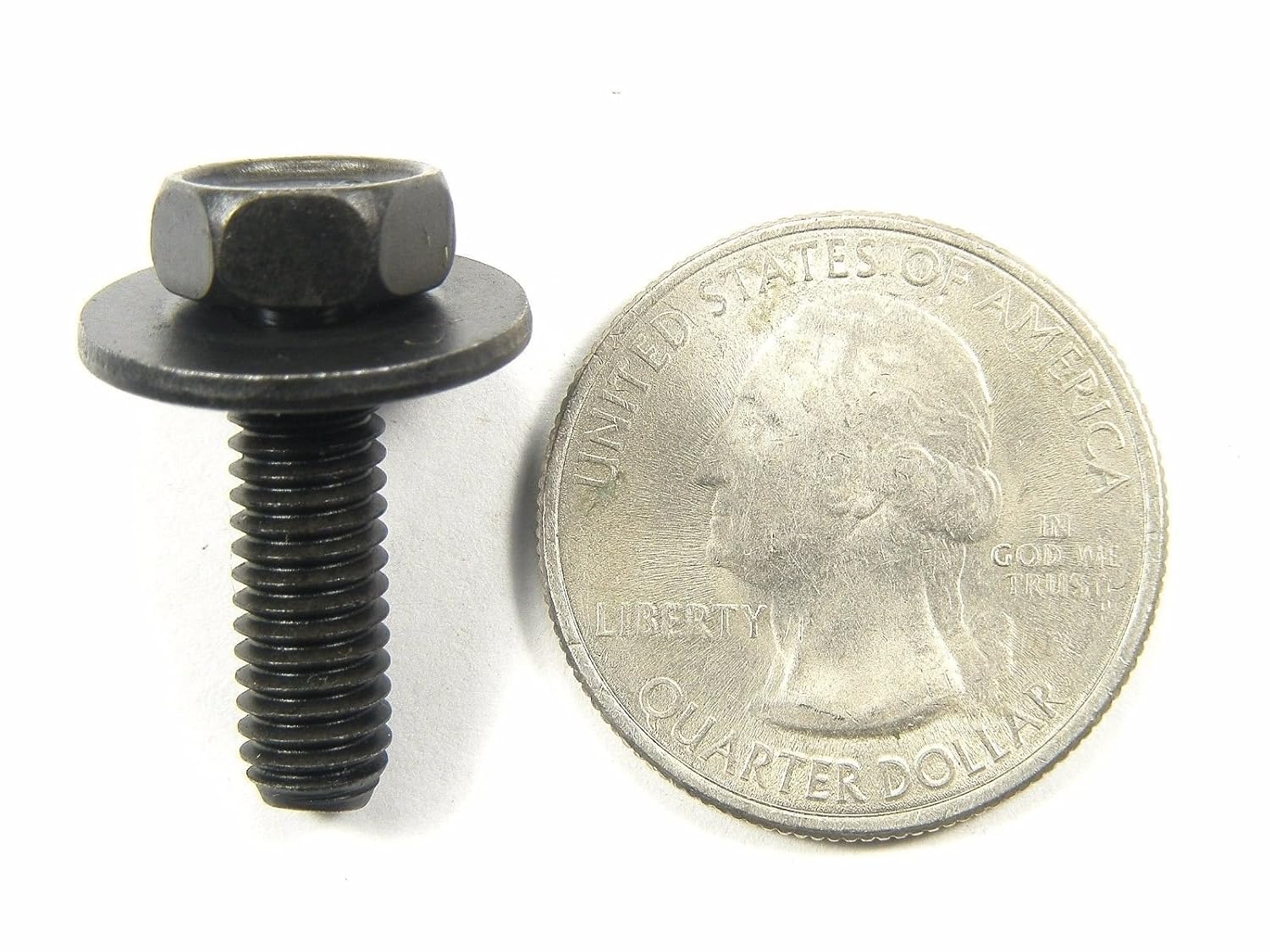 Retro-Motive Body Bolts & U-nut Clips- M6-1.0mm x 20mm Long- 10mm Hex- 20 pcs- Fits Ford Truck- (1906/1928) #1882