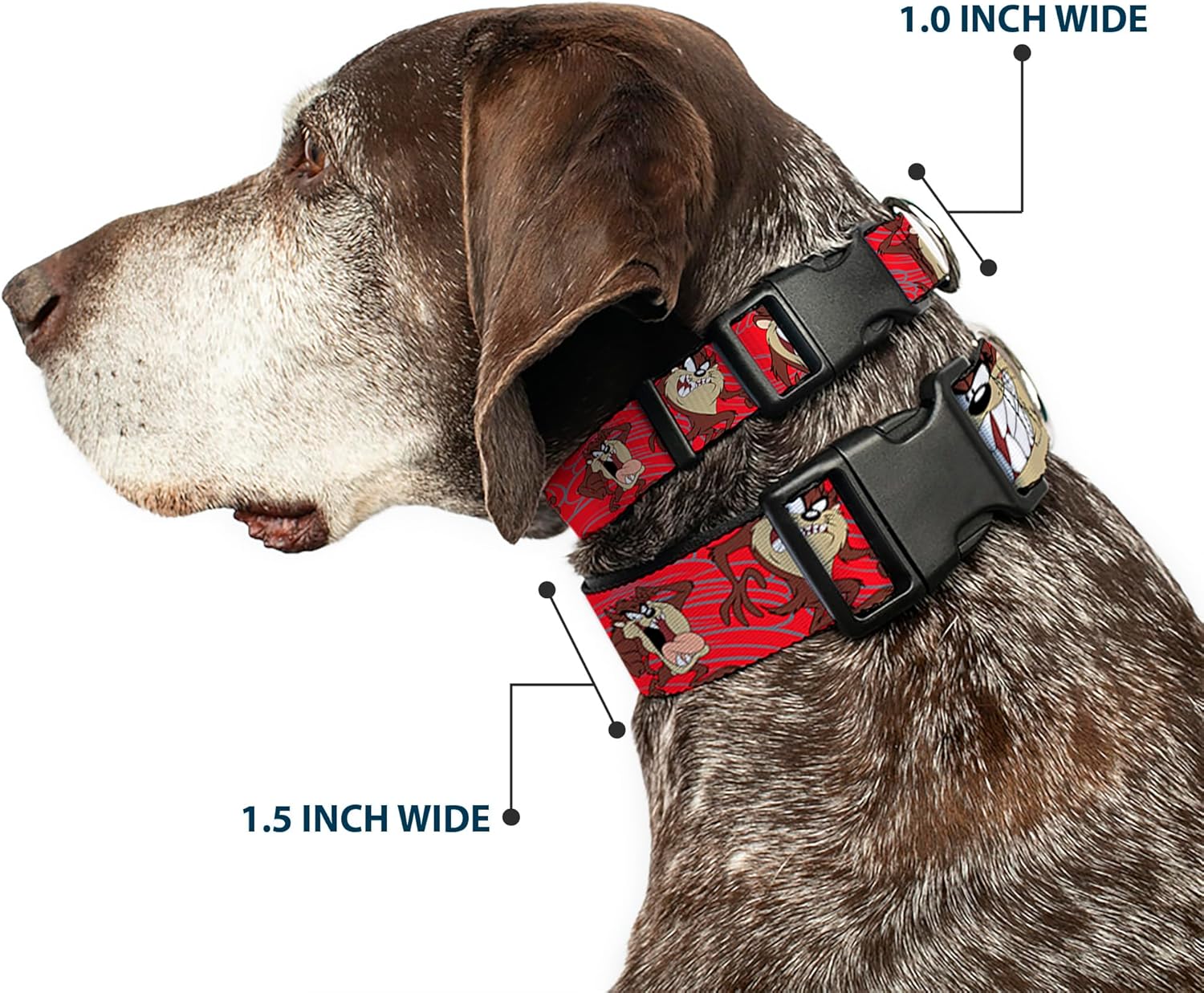 Buckle-Down Plastic Clip Collar - Tasmanian Devil Expressions Red Swirl - 1.5" Wide - Fits 16-23" Neck - Medium