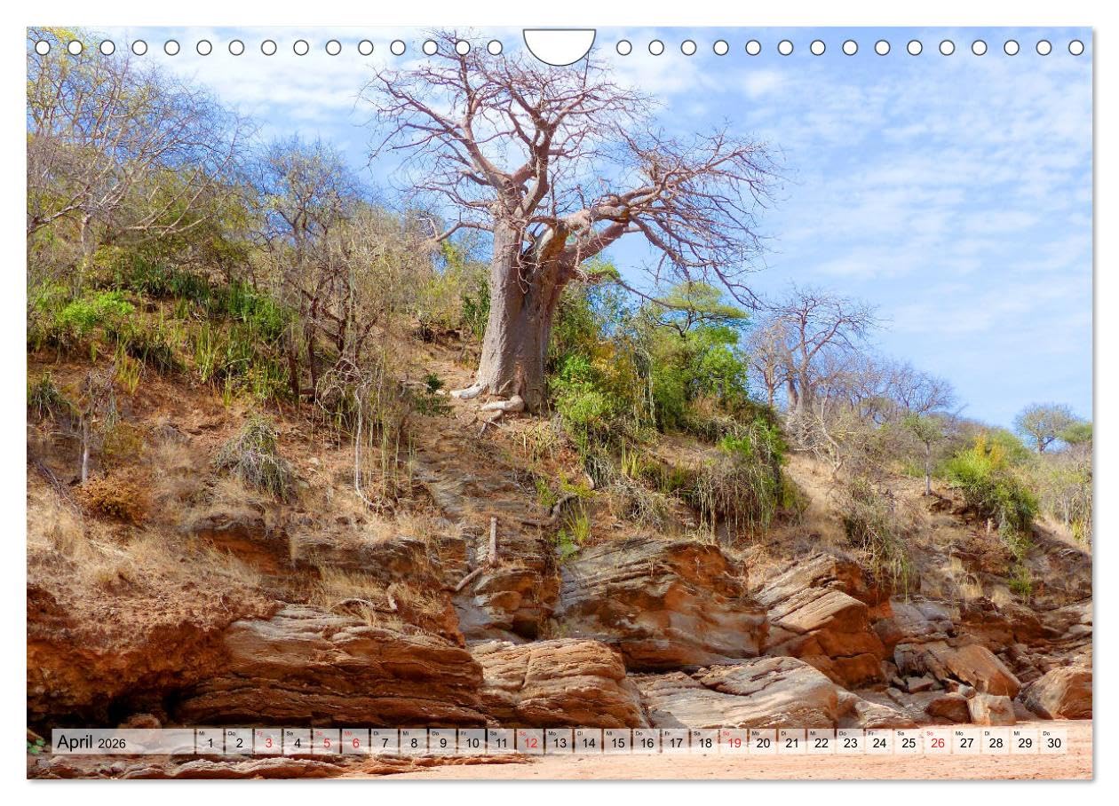 Tansania. Impressionen aus Ostafrika (Wandkalender 2026 DIN A4 quer), CALVENDO Monatskalender: Dieser Kalender nimmt Sie mit in das ostafrikanische ... Länder Afrikas. (CALVENDO Natur)