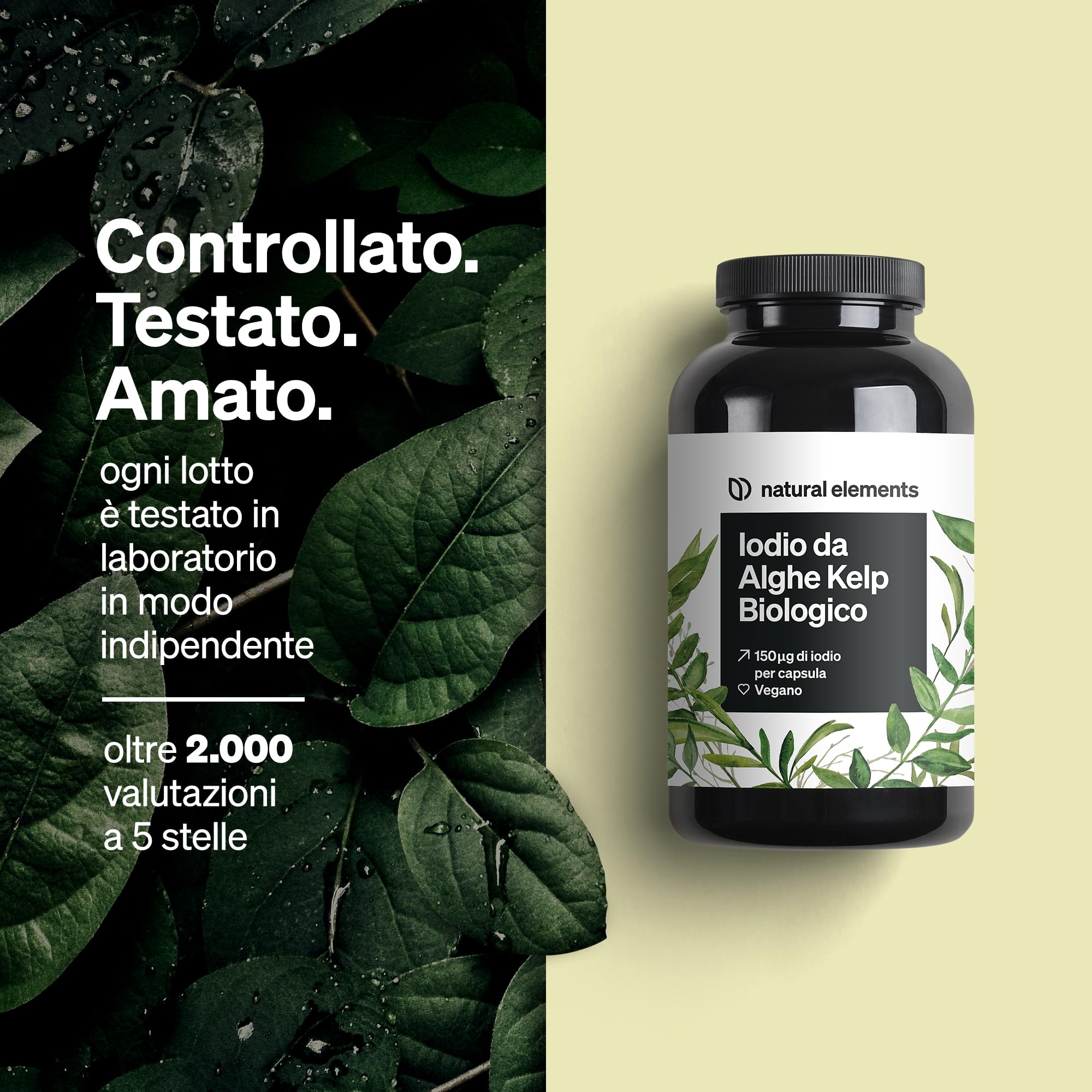 Iodio da Alghe Kelp Biologico – 365 compresse – 150µg di iodio da alghe brune/1 compressa – qualità bio per tiroide – vegano, alto dosaggio, no additivi – prodotto e testato in laboratorio in Germania