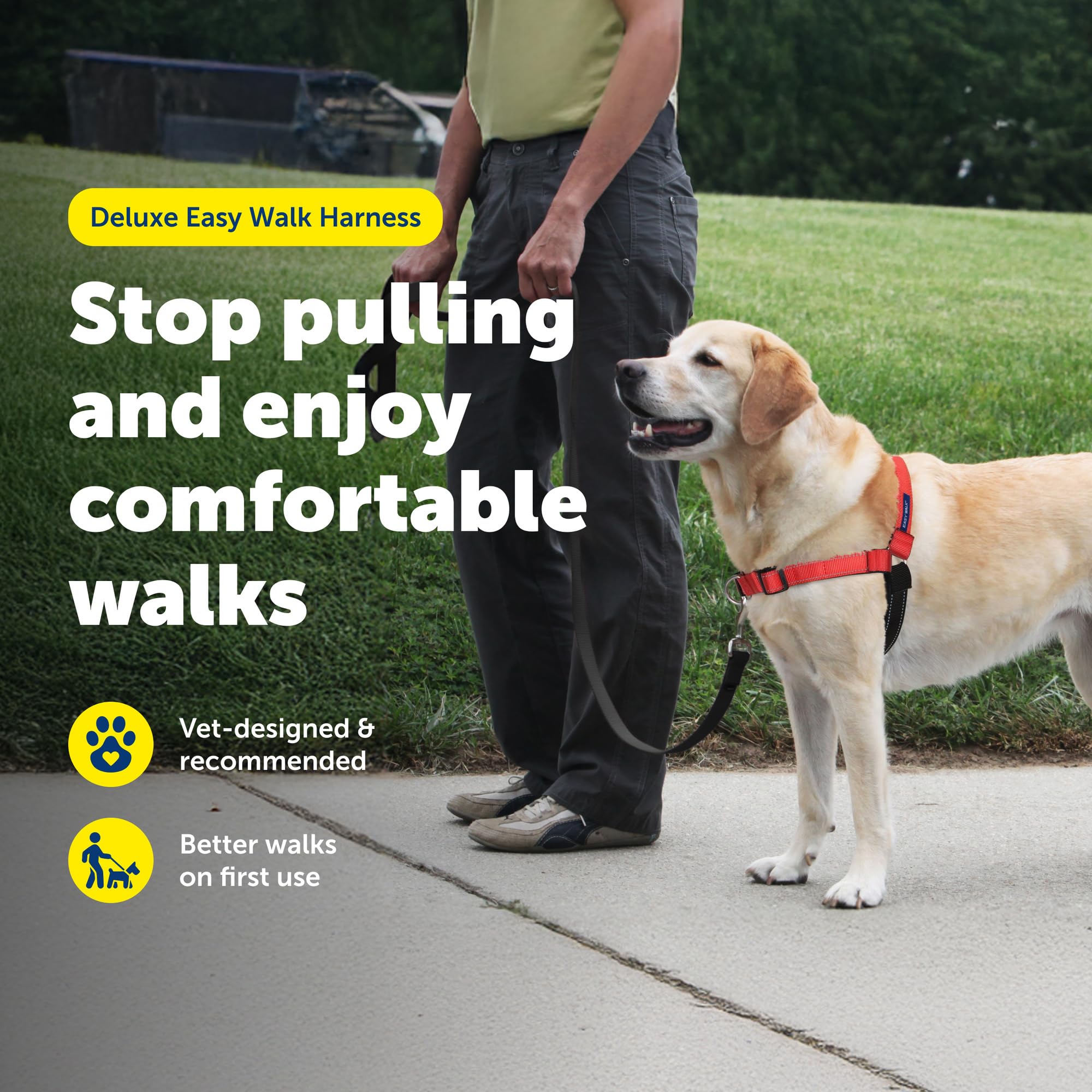 PetSafe（ペットセーフ） 犬用 引っ張り防止ハーネス デラックスイージーウォークハーネス アップルグリーン×ブラック S ペットセーフ デラックス イージーウォークハーネス 犬用 M