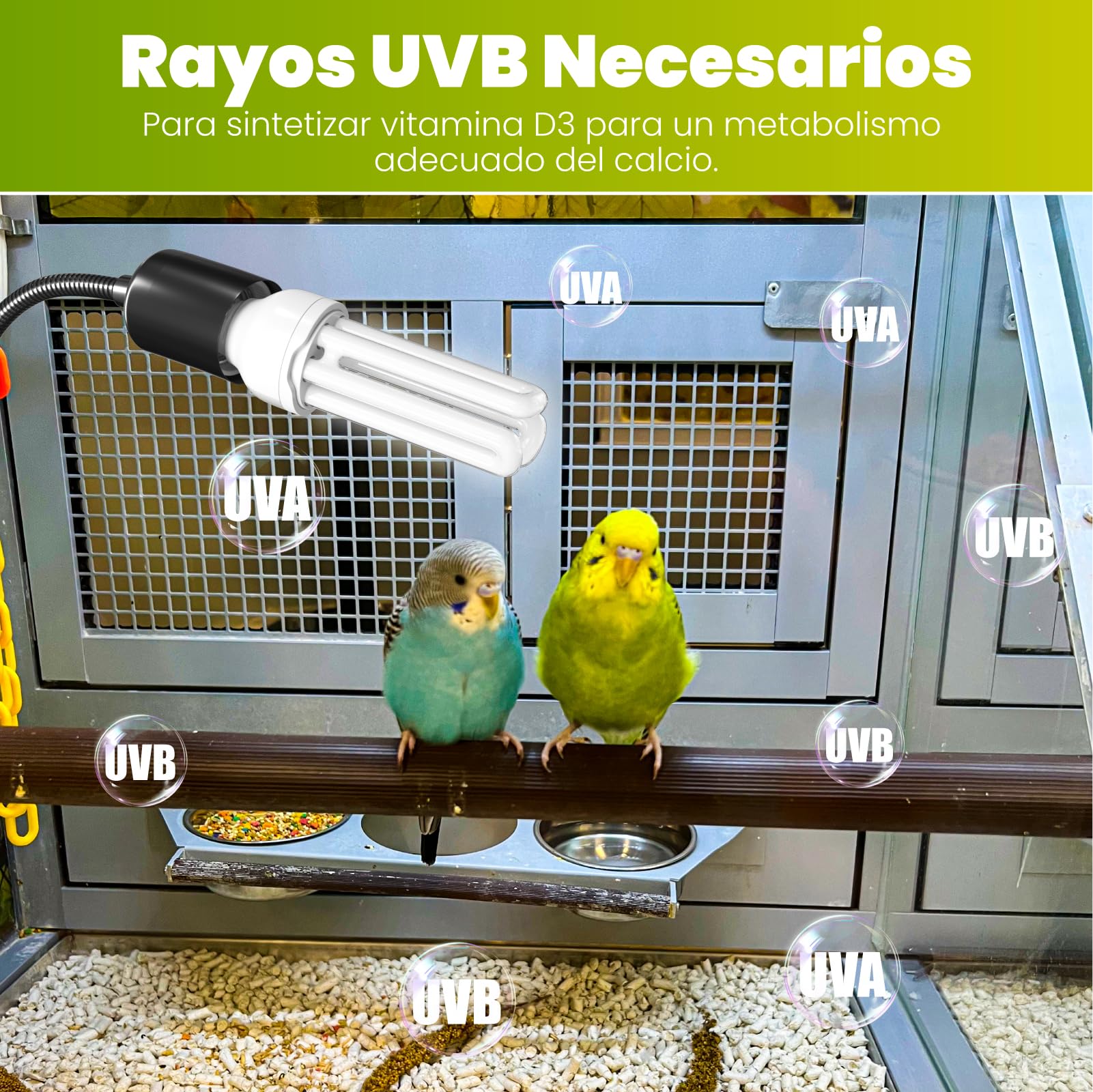 GlowUp UVB 2.4 Lámpara para Pájaros Juego Completo, Lámpara de Clip con Lámparas Fluorescente Compacta UVB 2.4 para Iluminación de Pájaros