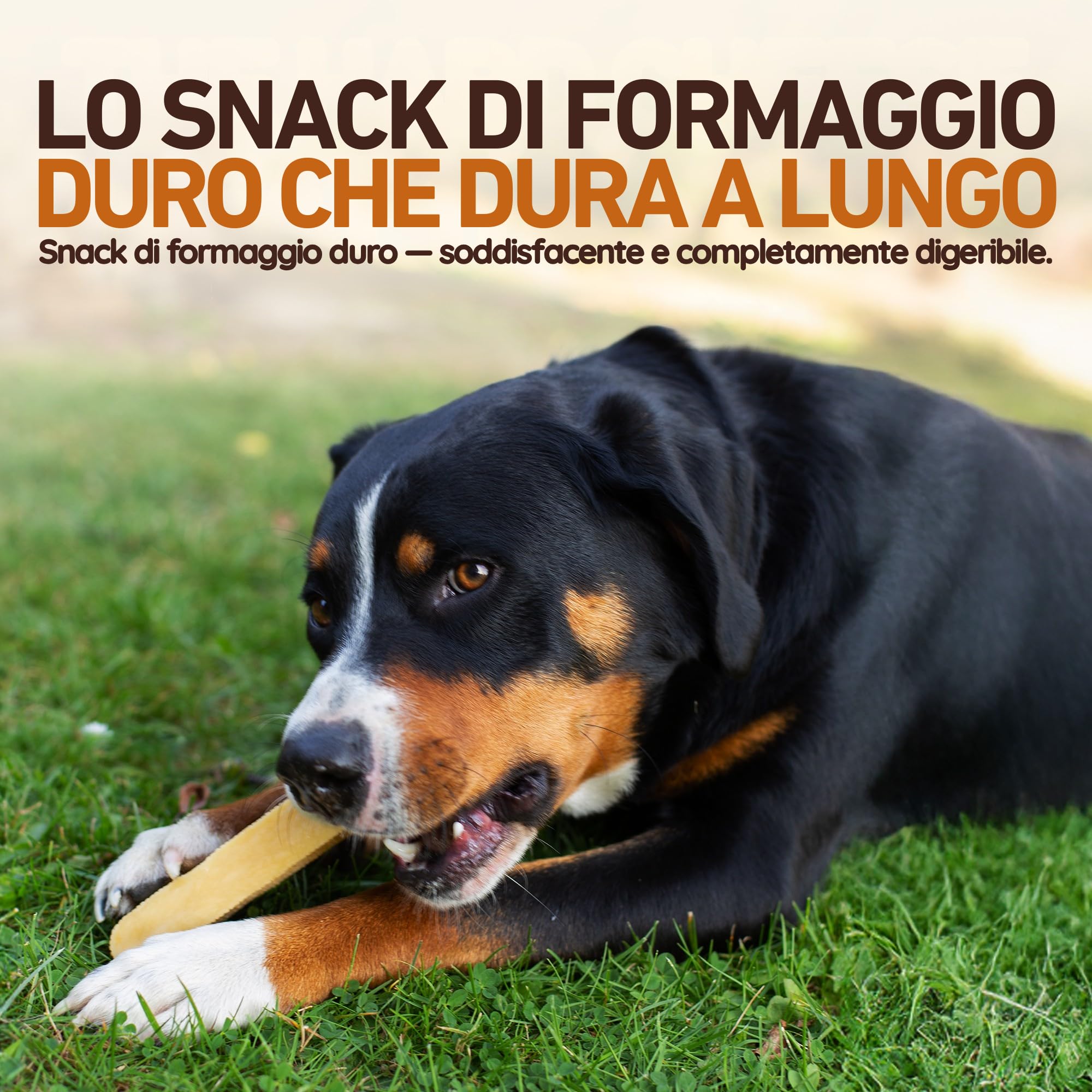 Wildfang Snack per Cani in Formaggio Duro XS 28 g per Cani fino a 10 kg Bastoncino da Masticare Himalayan Durezza tipo Yak Masticativi Naturali per Cani stile Churpi Confezione da 1
