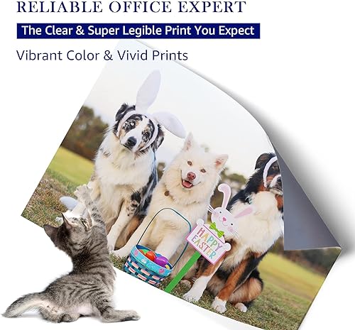 Miniatura 3 de Raleza - Cartucho de tinta negro compatible con 45 51645 51645A, repuesto de alto rendimiento para HP Photosmart 1000 1100 1115 1215 1218 13150 4654