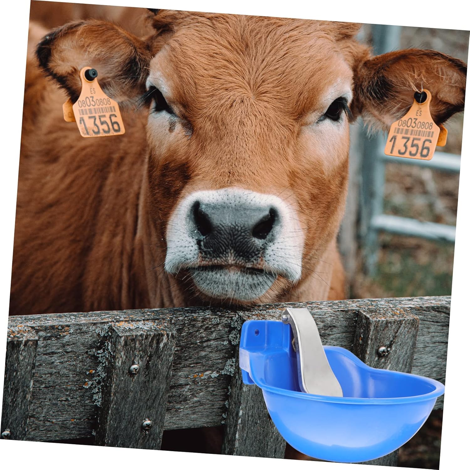 POPETPOP Automatic Waterer Bowl for Livestock Cow and Sheep Drinking Bowl Float Valve Easy to Clean and Farm Water Dispenser for Cattle and Goats