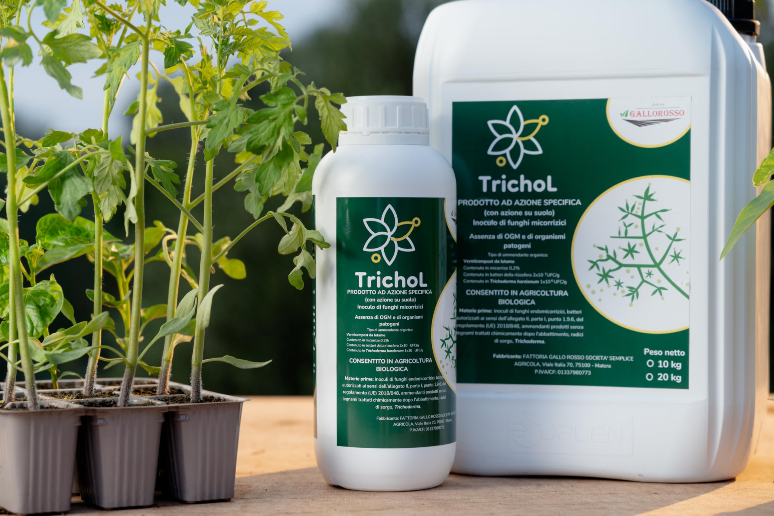 micorrize e trichoderma liquido Orgamit-R (ex Amicorad) 1 Kg ILSA Funghi micorrizici Trichoderma  Formulazione Liquido