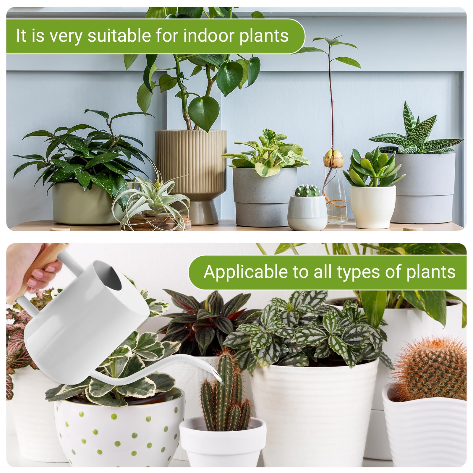 Arrosoir en Acier Inoxydable 1L,Petit Arrosoir pour Plantes D'intérieur avec Outils de Jardinage en Pot,Long Bec,Arrosoir Plante Interieur pour Plantes D'intérieur et Plantes Succulentes